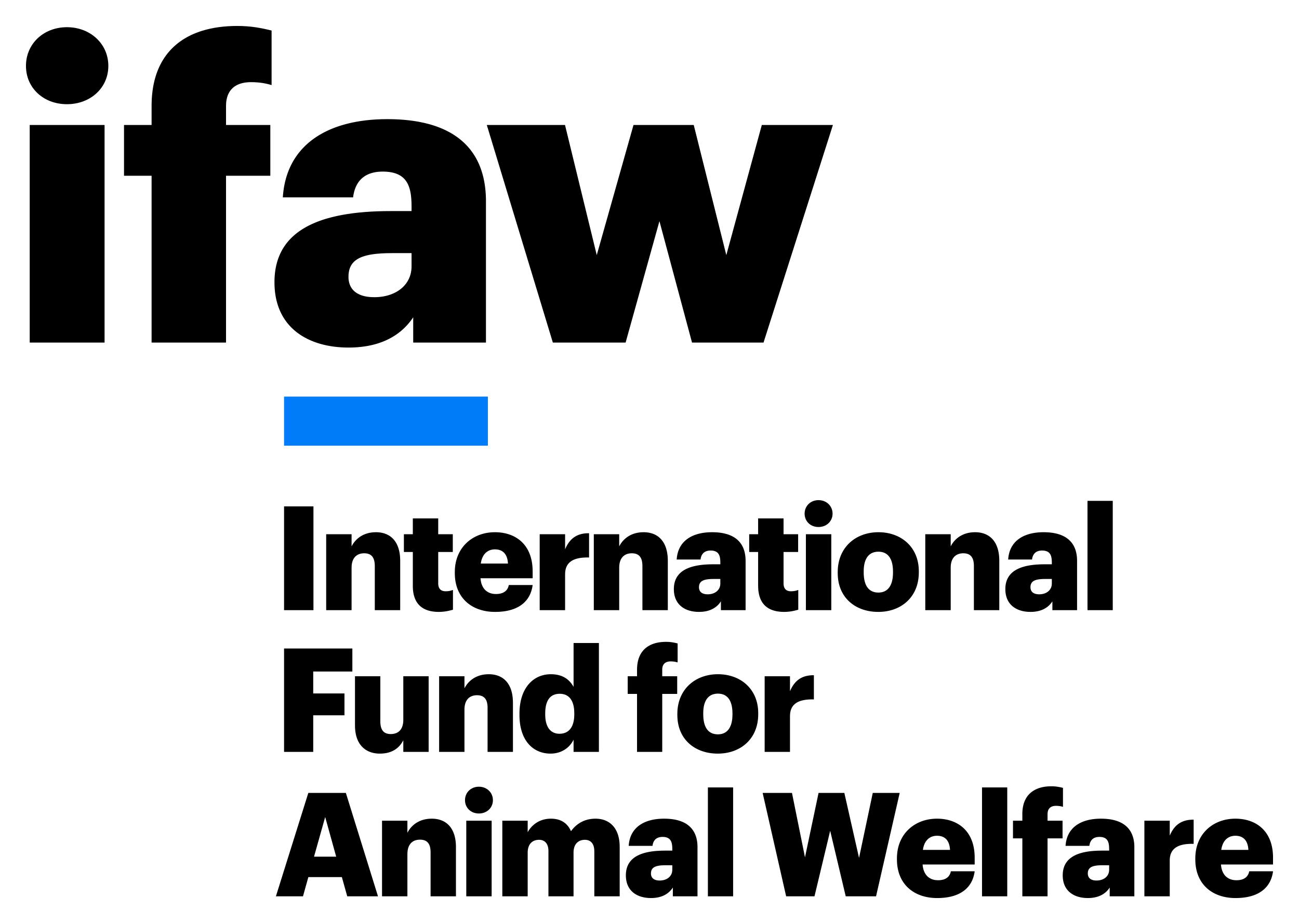 New Report - Animals, People and War: The Impact of Conflict | AP News New Report - Animals, People and War: The Impact of Conflict | AP News