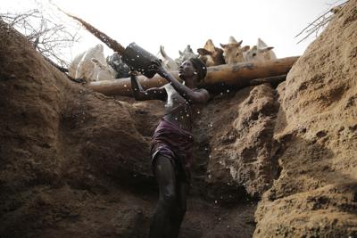 Letoyie Leroshi, un hombre de Samburu, da agua a las vacas de un poz en el poblado de Kum, en el condado de Samburu, Kenia, el sábado 15 de octubre de 2022. Encontrar agua subterránea en el Este de África sería una enorme ayuda para un región que trata de calmar su sed. El cambio climático ha hecho la sequía más probable, pero como ocurre en buena parte del continente, la gente en África Oriental y el Cuerno de África no tiene los recursos para aprovechar los acuíferos de forma generalizada y eficiente. (AP Foto/Brian Inganga)