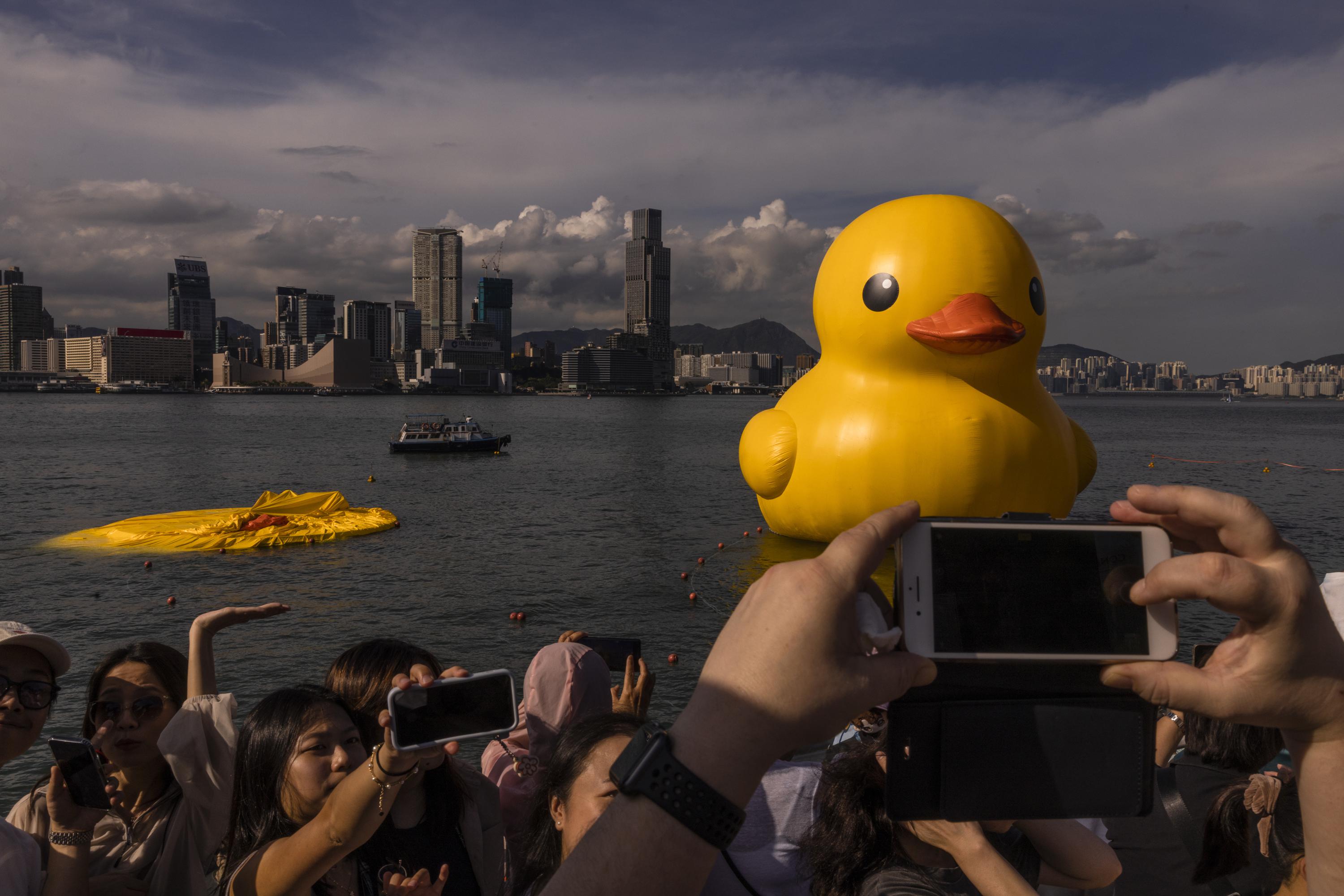 Patos de goma gigantes causan sensación en Hong Kong