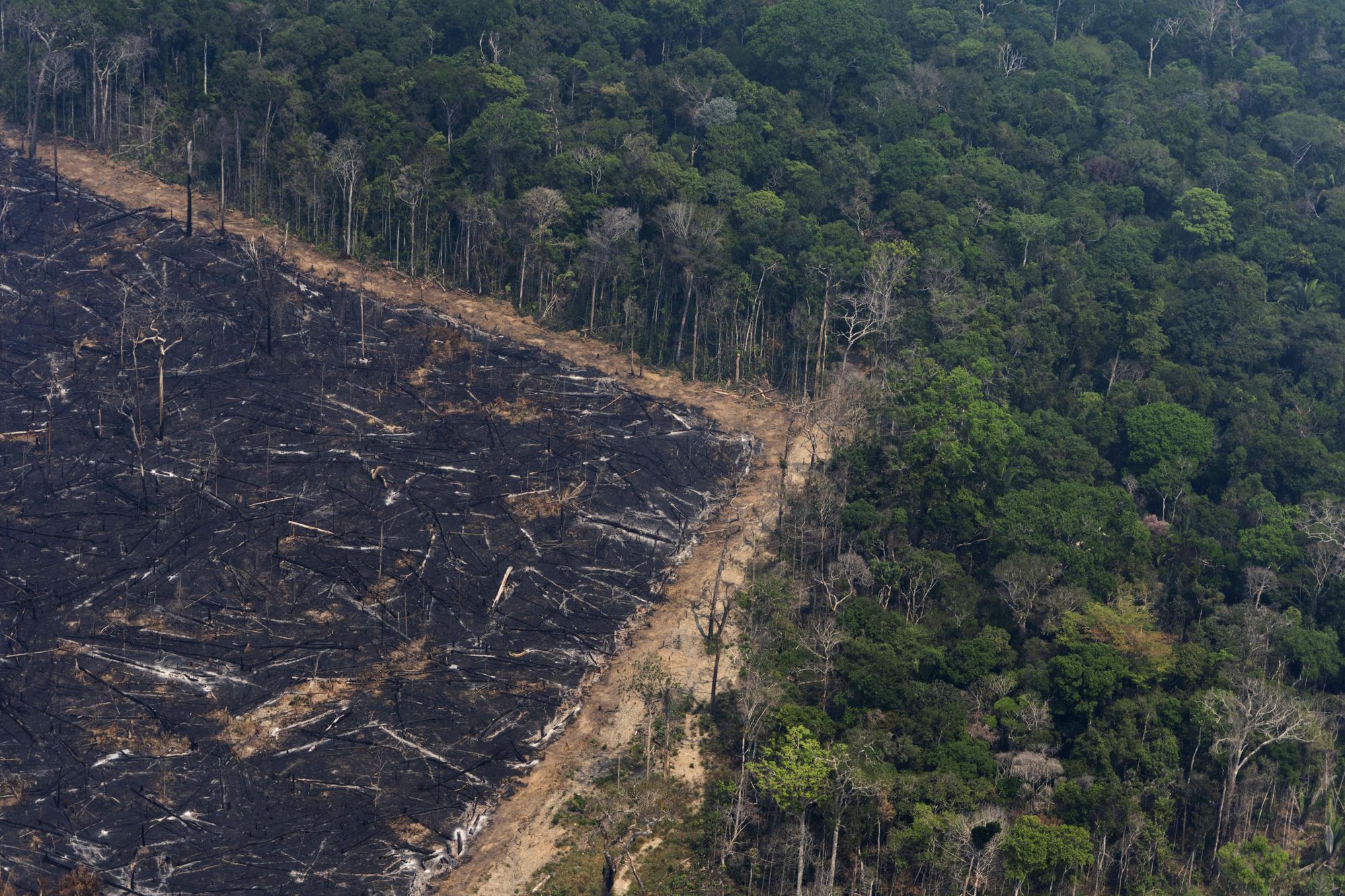 FILE - Jungle stands next to an area that was burnt due to wildfires near Porto Velho, Brazil, Friday, Aug. 23, 2019. The United Nations on Monday, Feb. 28, 2022, released a new report on climate change. (AP Photo/Victor R. Caivano, File)