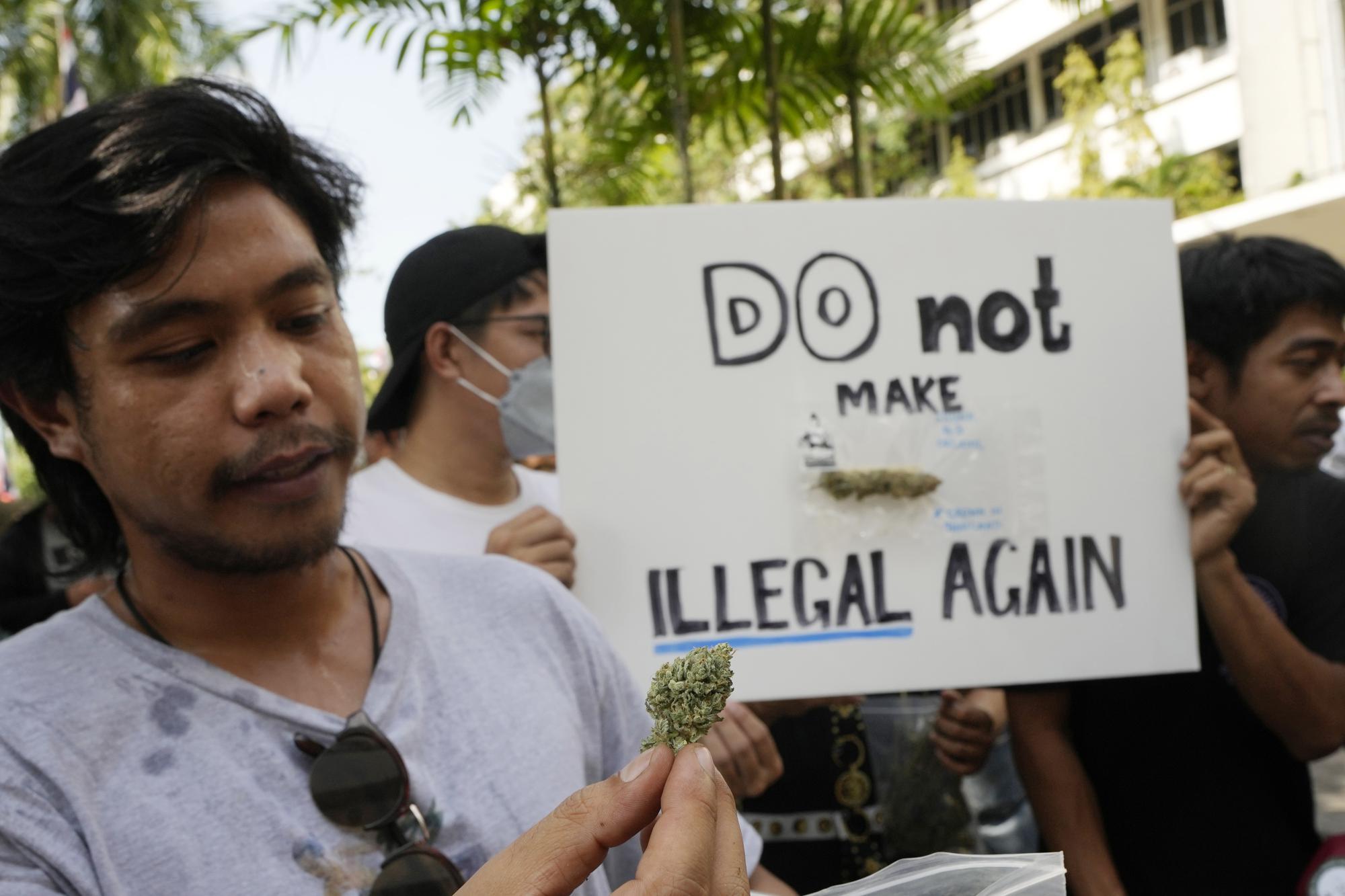 Image of post: Thai marijuana boosters rally to keep drug decriminalized