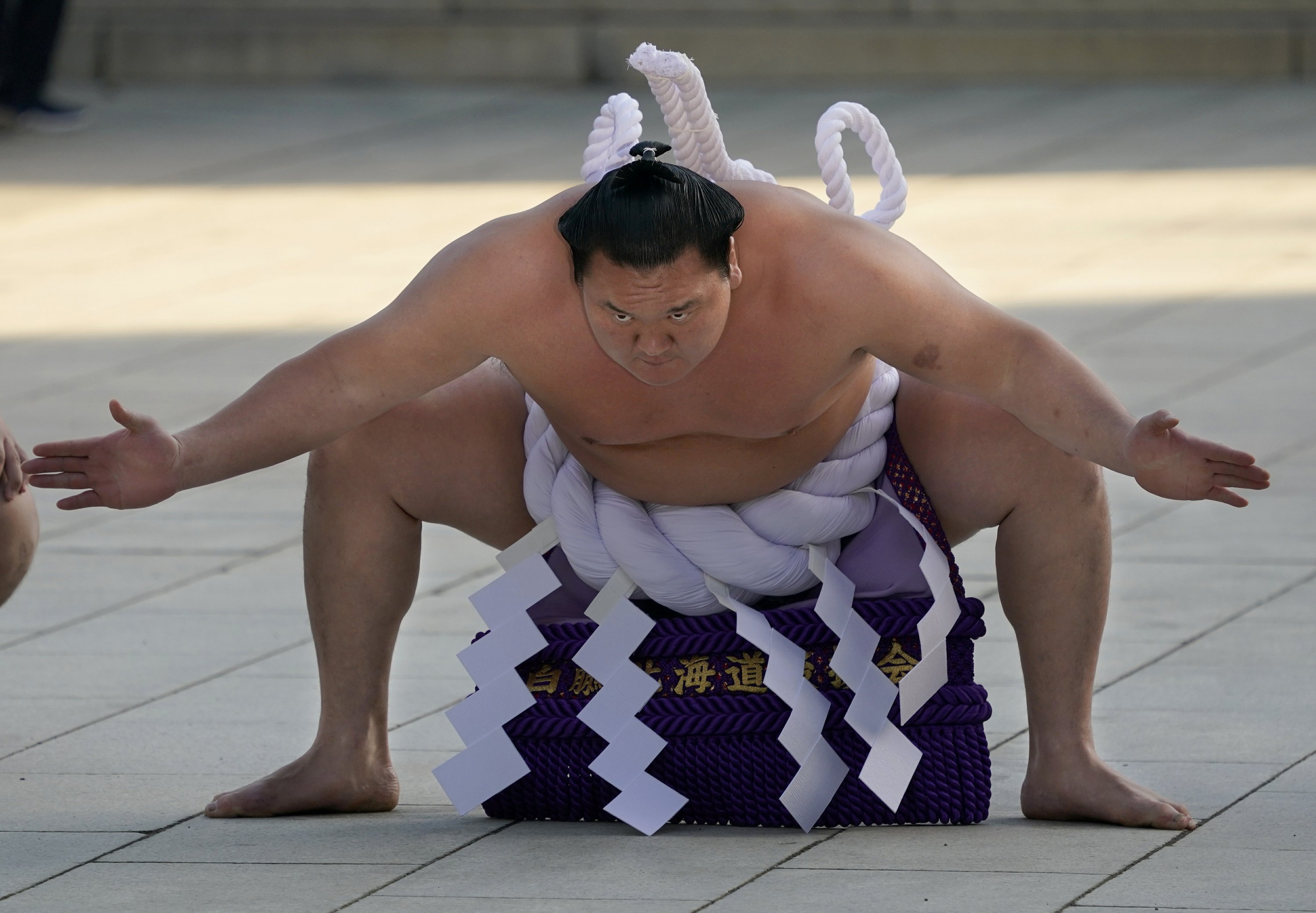Sumo Wrestling Tokyo June 2024 - Candy Corliss