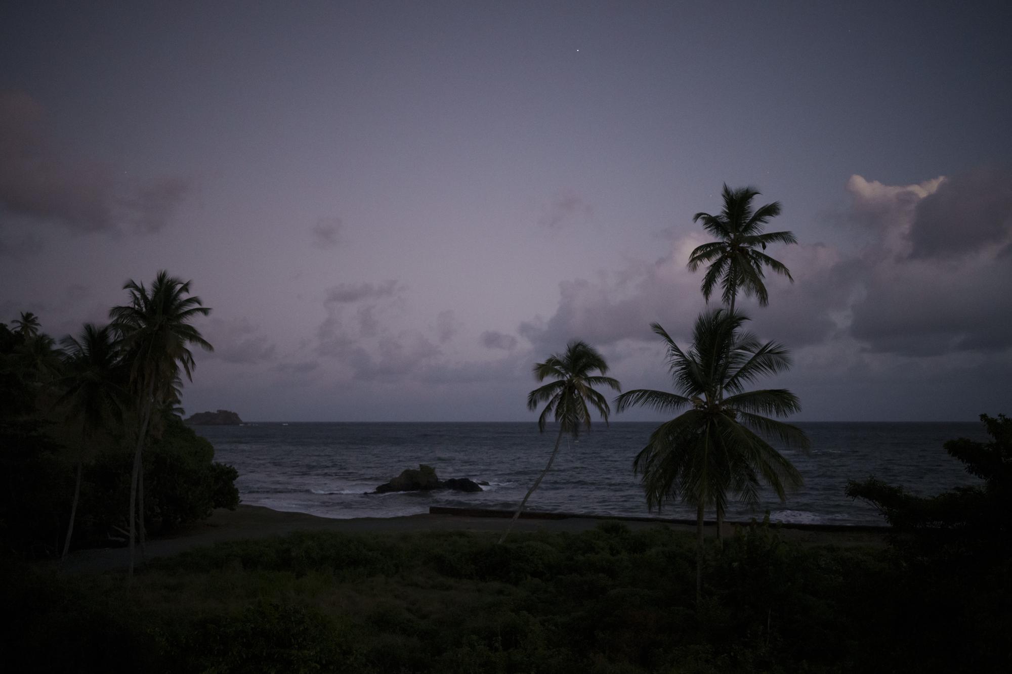 Palmeras en una playa en la isla caribeña de Tobago, en Trinidad y Tobago, el 21 de enero de 2022. (AP Foto/Felipe Dana)