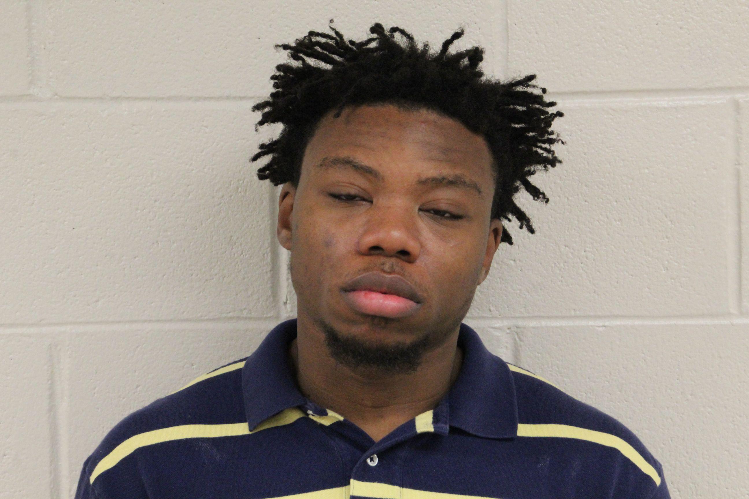 Man charged in slayings of Illinois man, 2 young sons AP News
