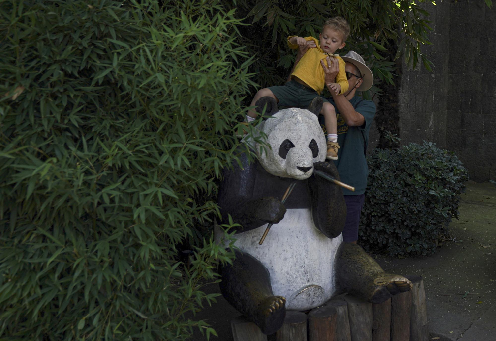 Un visitante coloca a su hijo en una estatua de panda para tomar una foto de recuerdo afuera del recinto de Xin Xin, un panda gigante nacido en México de 32 años, en el Zoológico de Chapultepec en la Ciudad de México, el jueves 10 de noviembre de 2019. 2022. Después de la Segunda Guerra Mundial, China se embarcó en su “diplomacia panda” para proyectar una imagen positiva en el exterior y elevar su perfil.  Los primeros pandas gigantes cautivos nacidos fuera de China en el Zoológico de Chapultepec.  A lo largo de los años, ha habido ocho nacimientos.  (Foto AP/Fernando Llano)