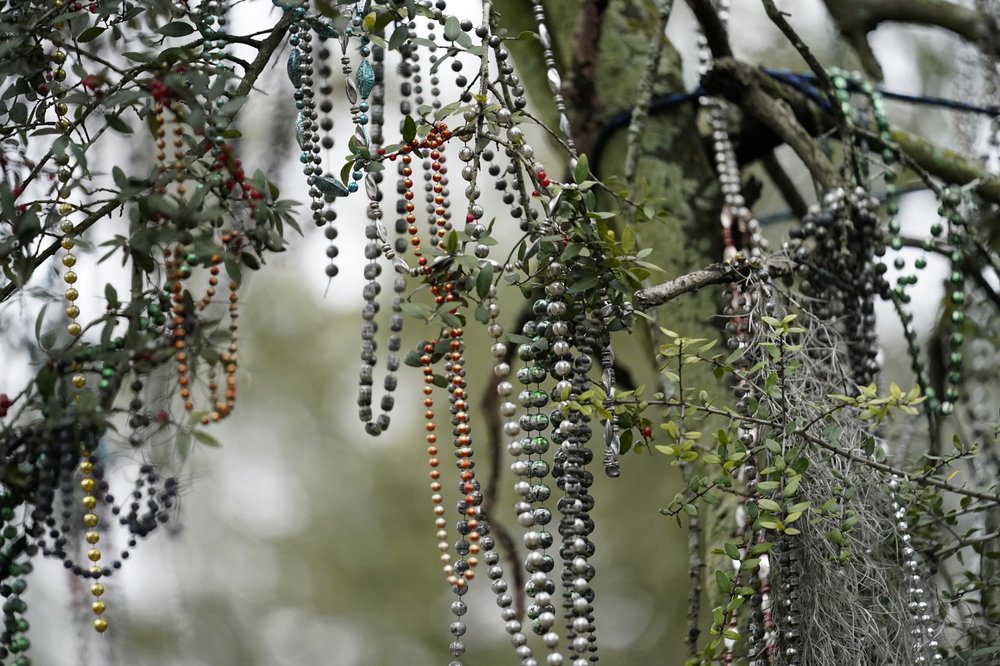 Mardi Gras beads thrown from Mardi Gras parades gone by, still hang from trees on St. Charles Ave. in New Orleans, Friday, Feb. 12. (Credit: Gerald Herbert/AP.)