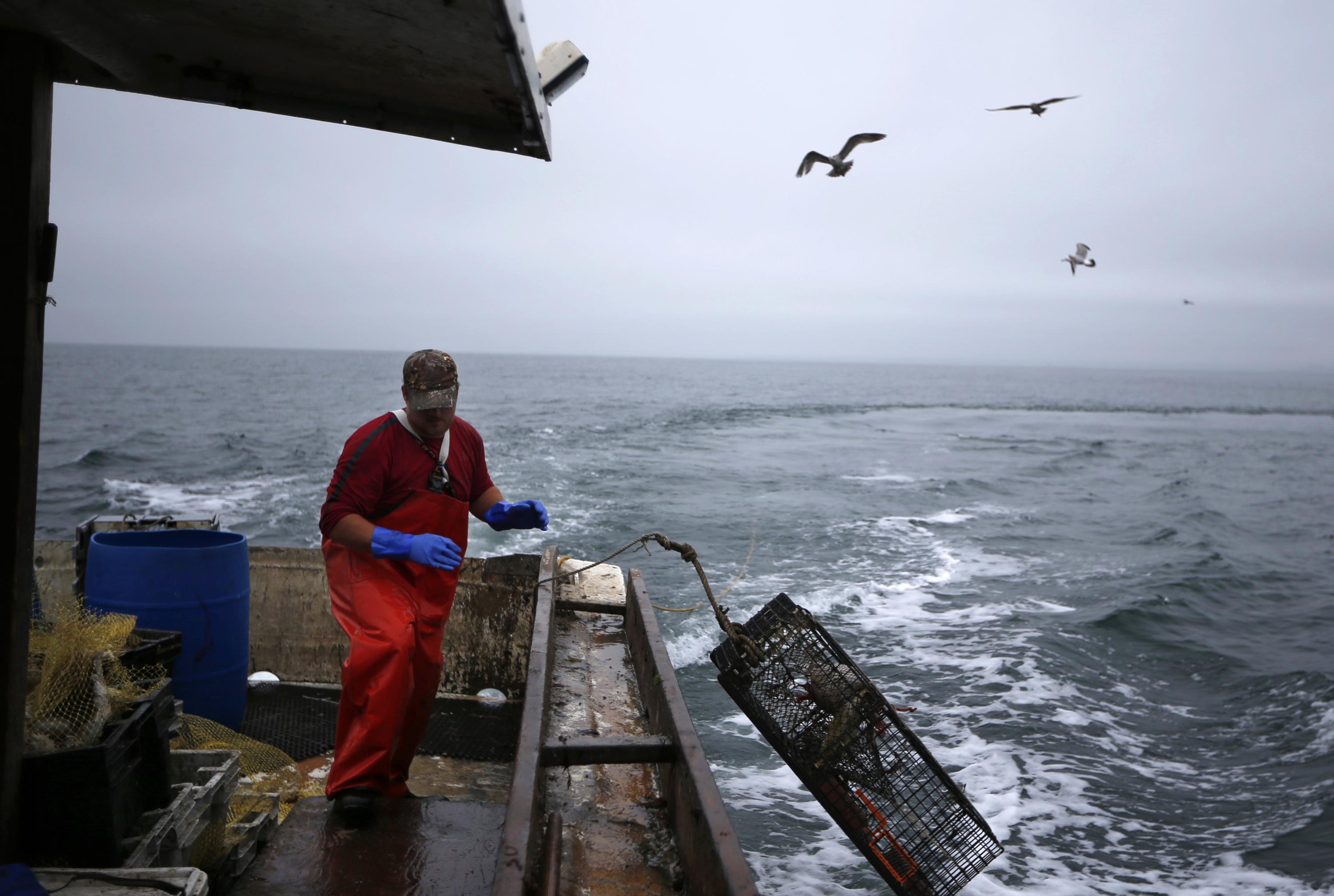 Consider the Crab – Long Island Boating World