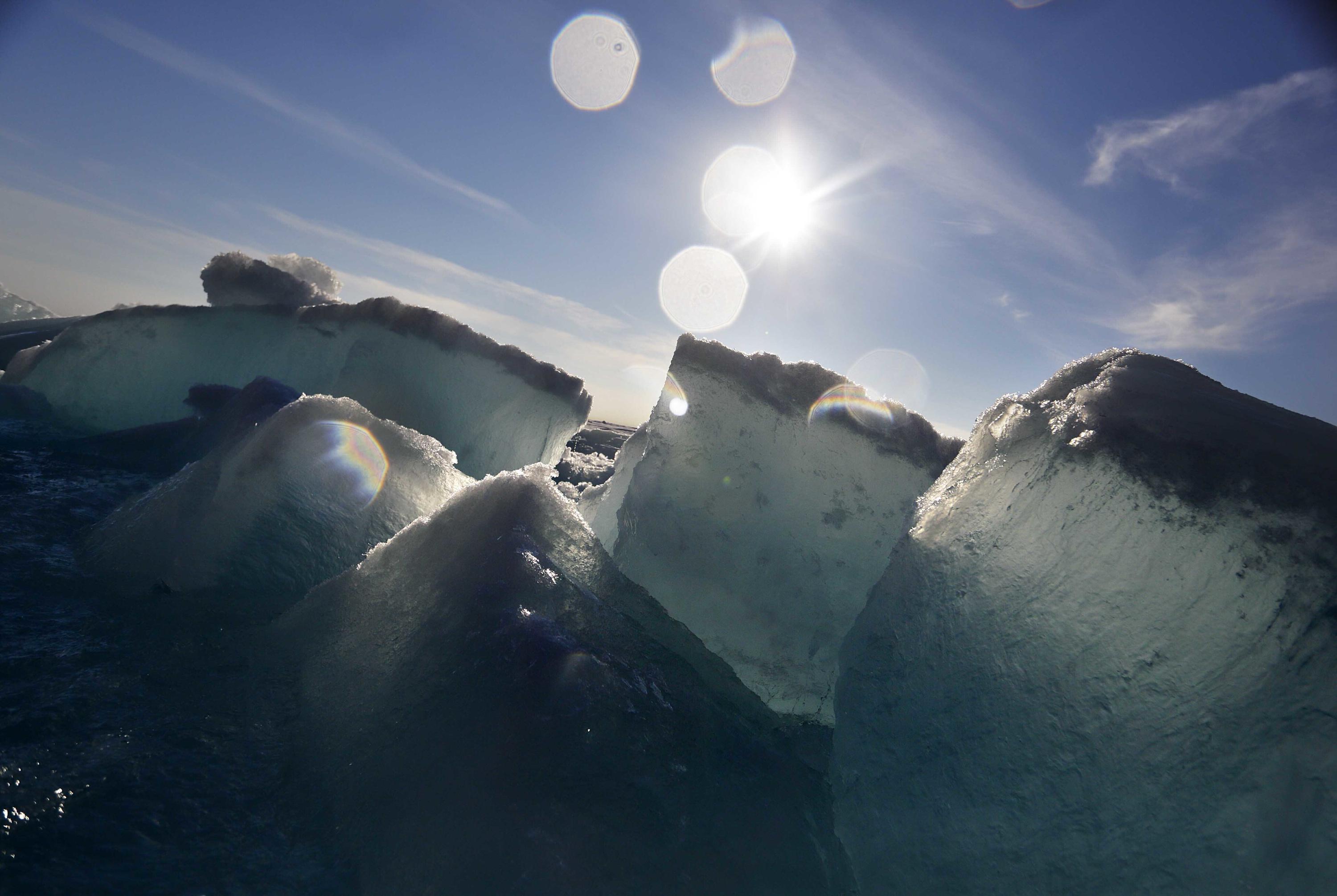 Ice on the edge of survival: Warming is changing the Arctic | AP News