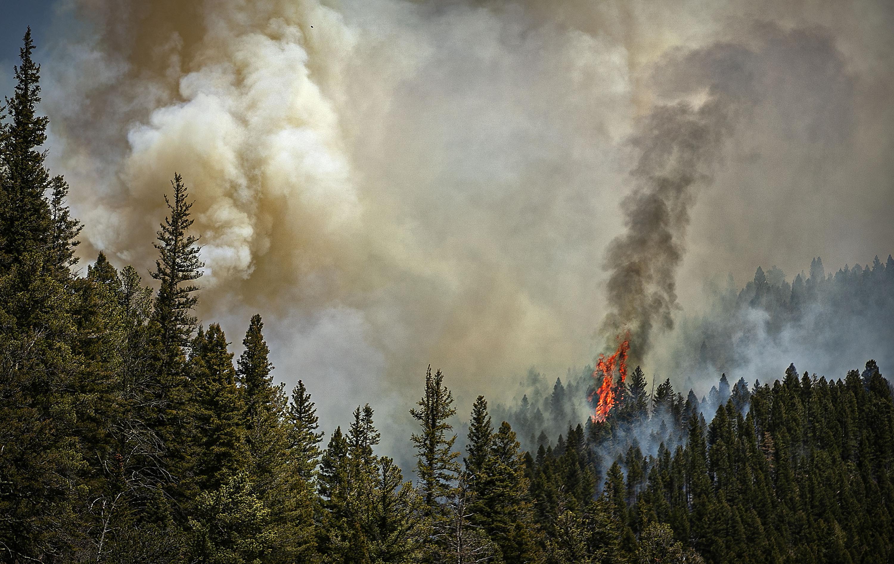 Cooler New Mexico weather aids big wildfire fight for now AP News