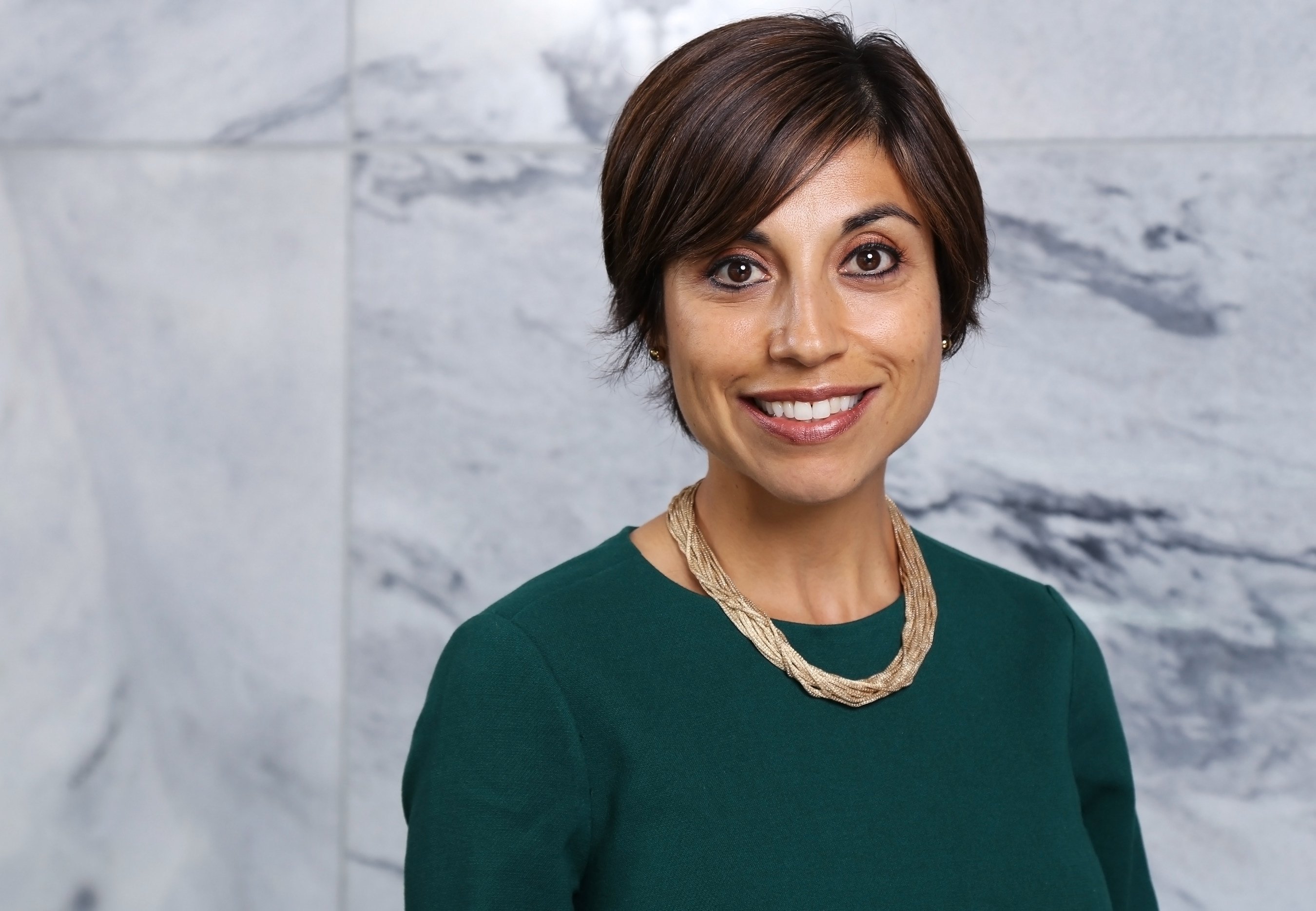 OneUnited Bank, Largest Black Owned Bank Announces Professor Mehrsa