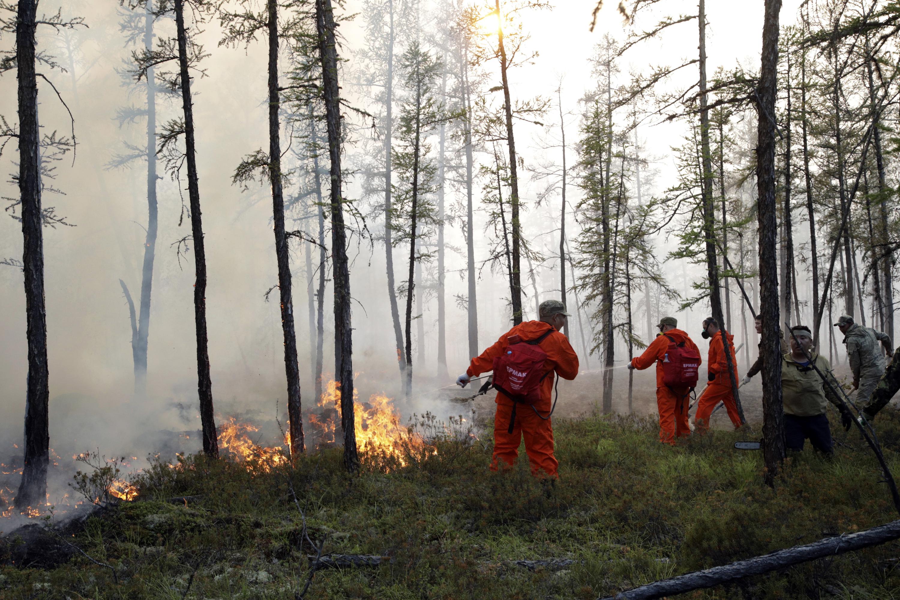 Russia S Putin Urges Stronger Response To Siberian Wildfires AP News   3000 