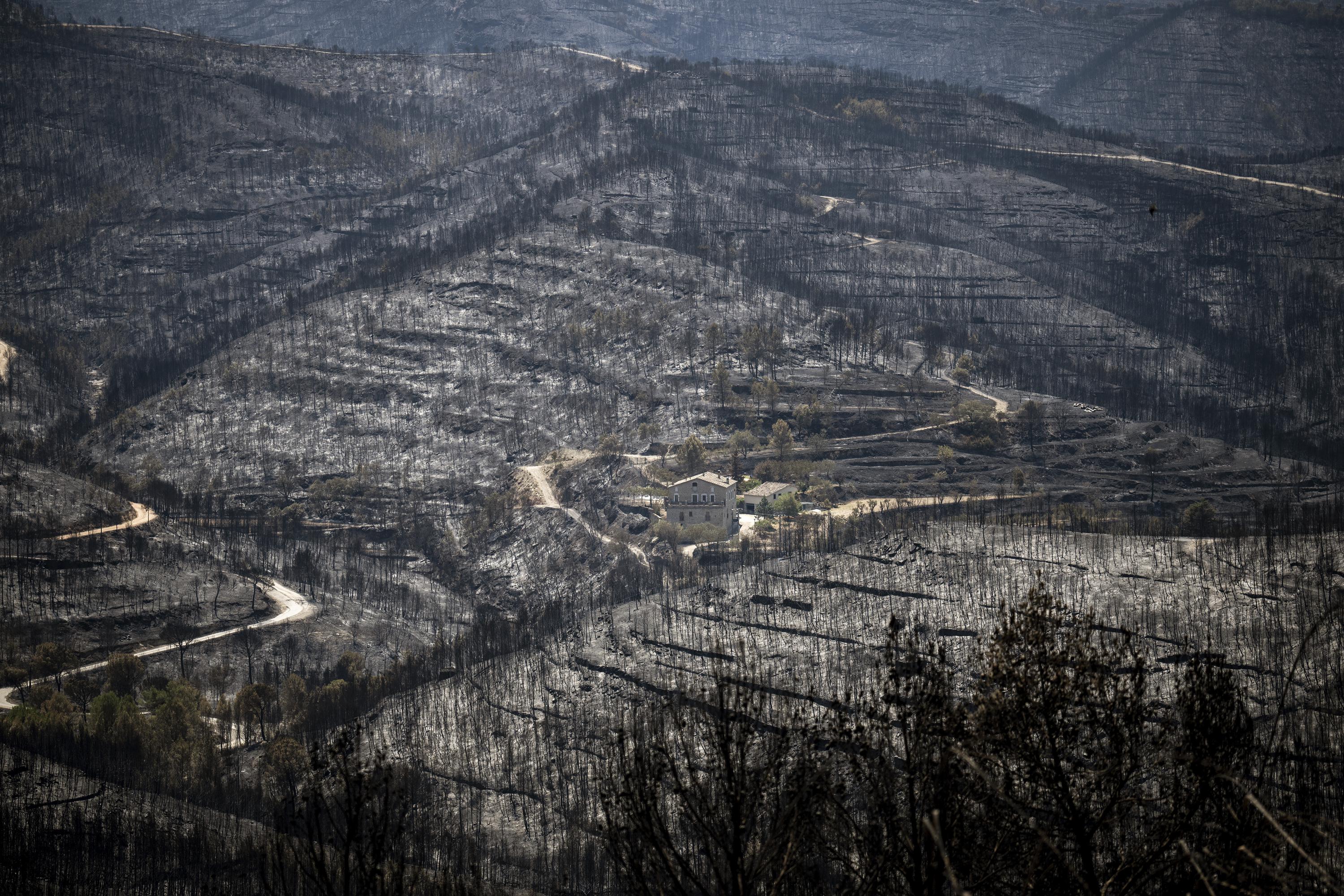 Wielka Brytania bije rekord pod względem najwyższej temperatury, gdy Europa skwierczy