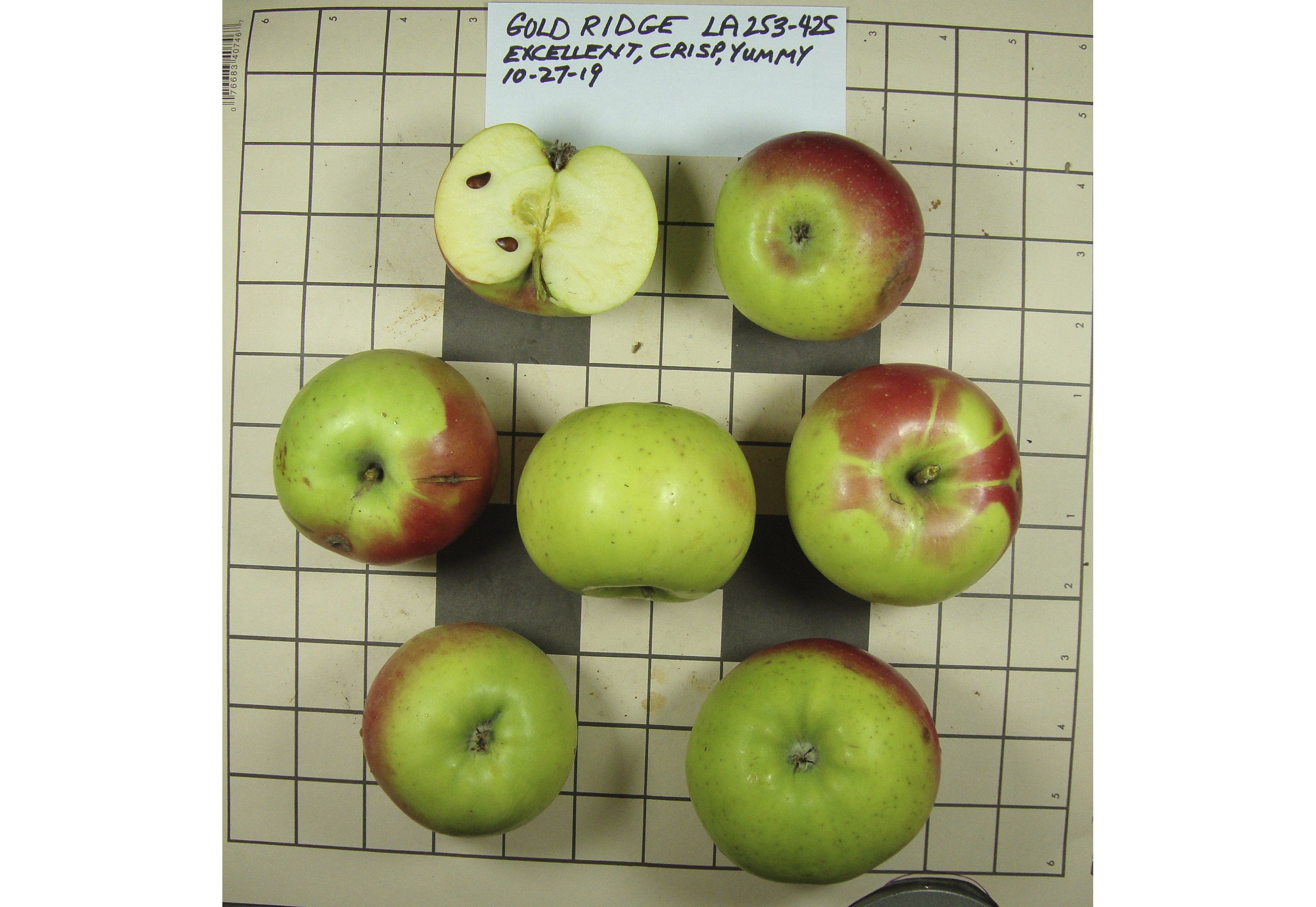 All Apple Varieties - Washington Apples