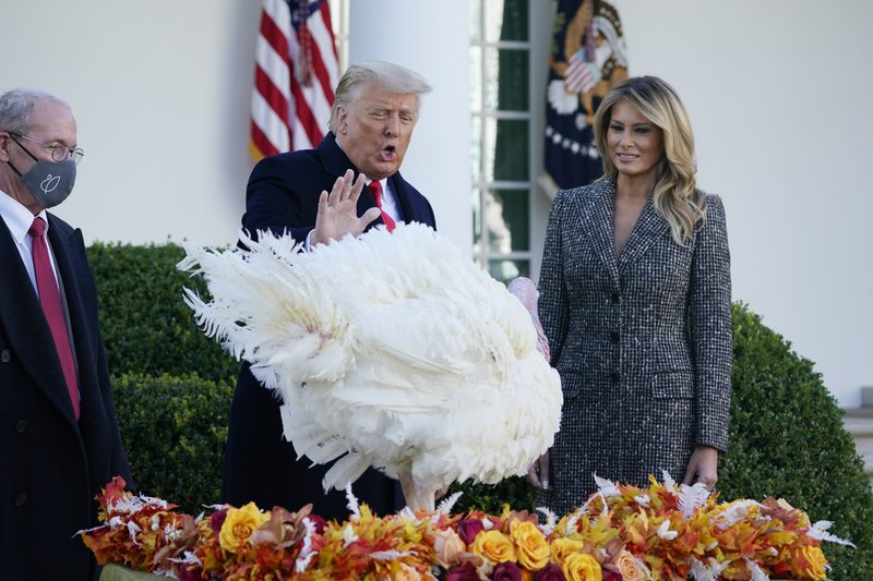 Trump indulta a pavo por Día de Acción de Gracias