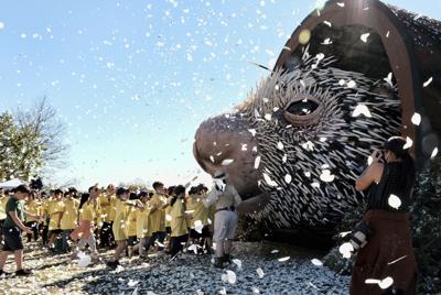 Niños de escuelas de Los Angeles corren a ver un títere gigante de puercoespín en el Parque Elysian en Los Angeles el martes 1 de marzo de 2022. Percy, un títere de dos pisos de altura creado en conjunto por la Alianza de Vida Silvestre del Zoológico de San Diego y Jim Henson's Creature Shop, salió de su casa ante un público de niños y medios en el parque. Su casa permanente estará en el Zoológico de San Diego. (Foto AP/Richard Vogel)