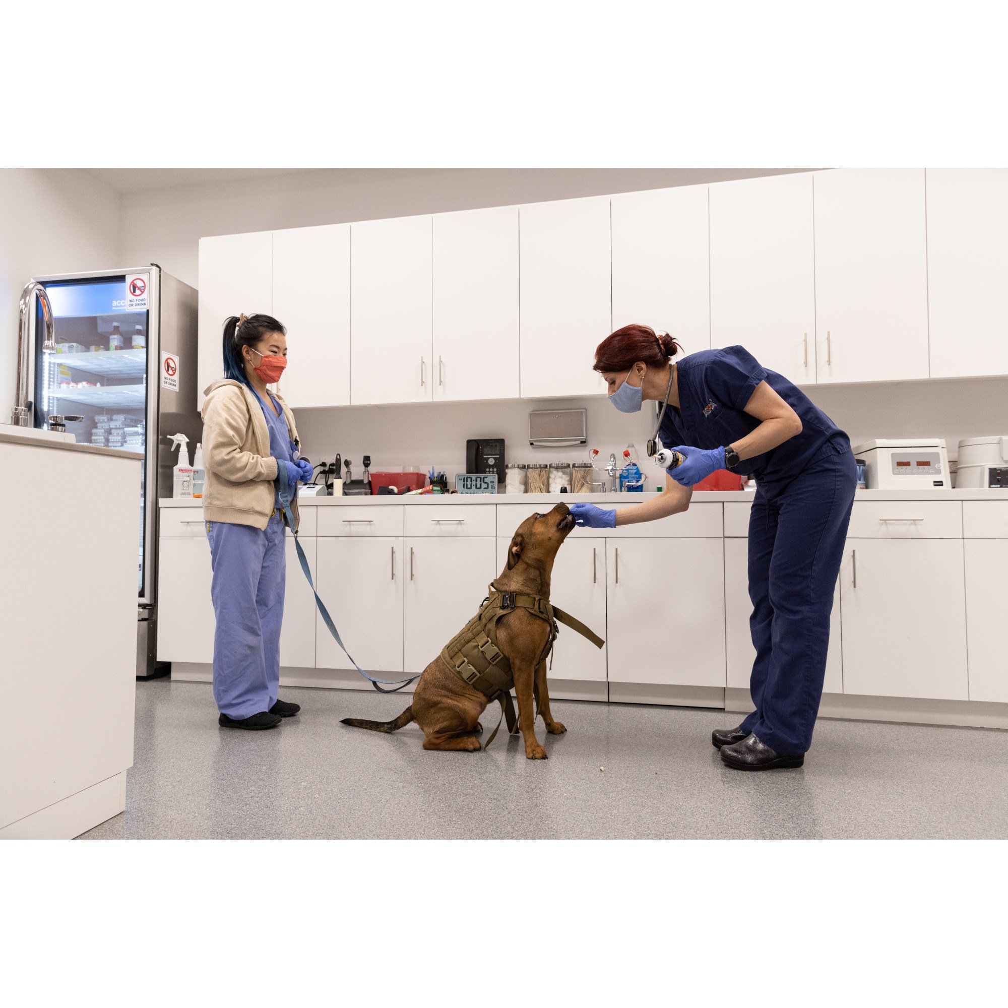 ASPCA® Opens Community Veterinary Center in Brooklyn to Improve Access