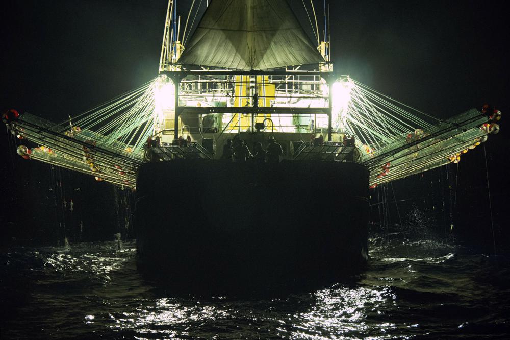 En esta foto de julio de 2021, proporcionada por Sea Shepherd, se ve a un barco de bandera china que pesca calamares en la noche en altamar fuera de la costa oeste de Sudamérica. El número de barcos con bandera china en el Pacífico sur ha aumentado casi 10 veces, de 54 barcos activos en 2009 a 557 en 2020, según la Organización Regional de Ordenación Pesquera del Pacífico Sur (South Pacific Regional Fisheries Management Organization, o SPRFMO, por sus siglas en inglés), un grupo intergubernamental de 15 miembros encargados de asegurar la conservación y pesca sostenible de las especies. Mientras tanto, el tamaño de su pesca ha aumentado de 70.000 toneladas en 2009 a 358.000.  (Isaac Haslam/Sea Shepherd vía AP)