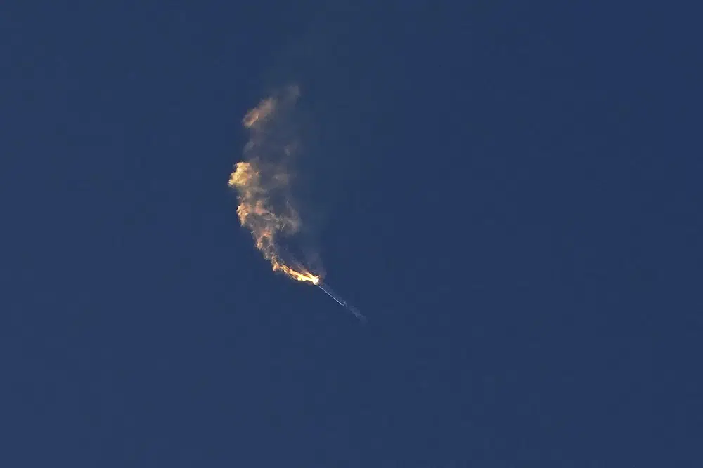 WILDLIFE and environmental groups sue over Elon Musk rocket that blew up like Twitter: “It’s vital that we protect life on Earth even as we look to the stars” ✨