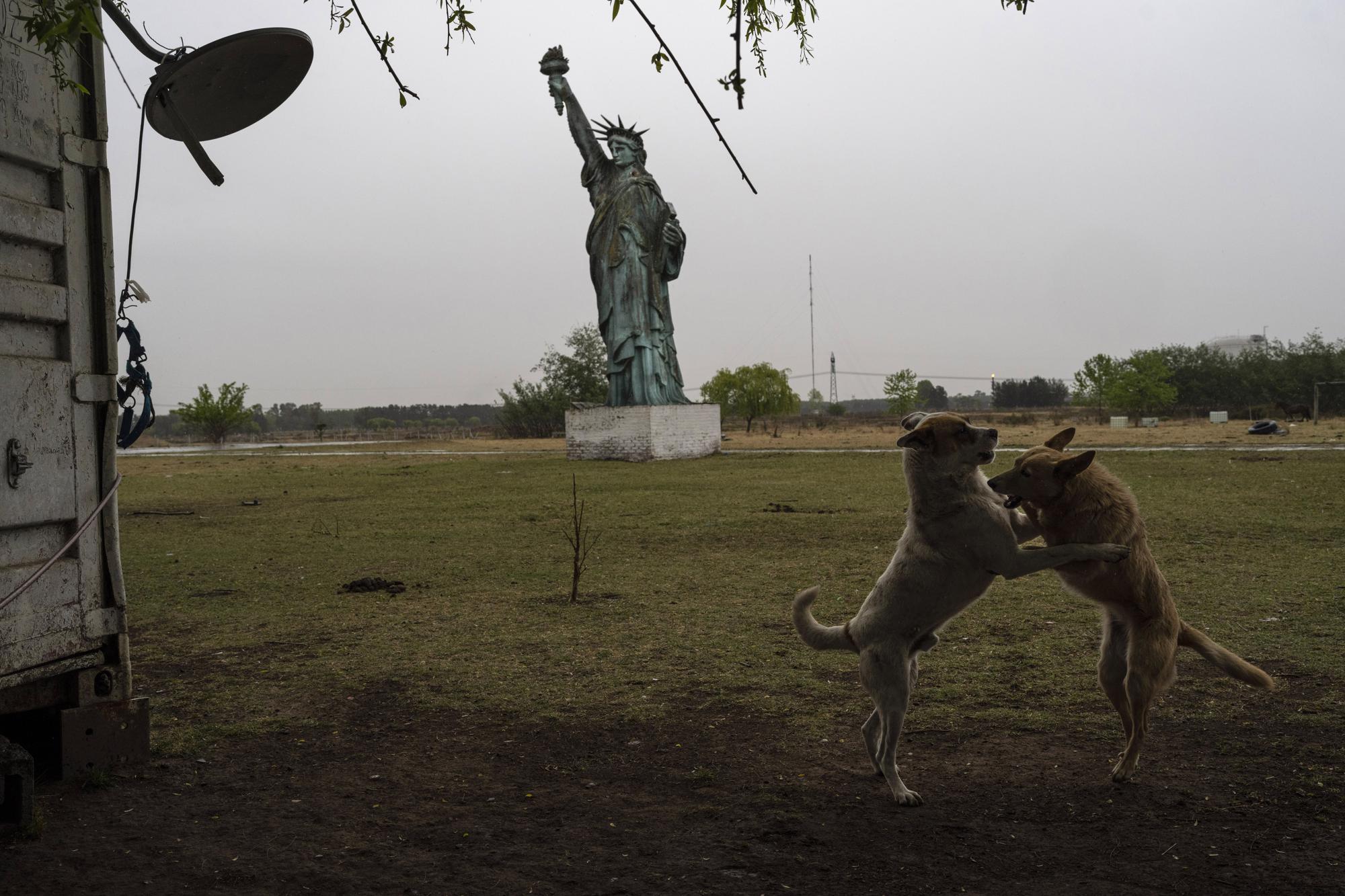 Perros juguetean cerca de una réplica de la Estatua de la Libertad, en General Rodríguez, Argentina, el sábado 15 de octubre de 2022. (AP Foto/Rodrigo Abd)