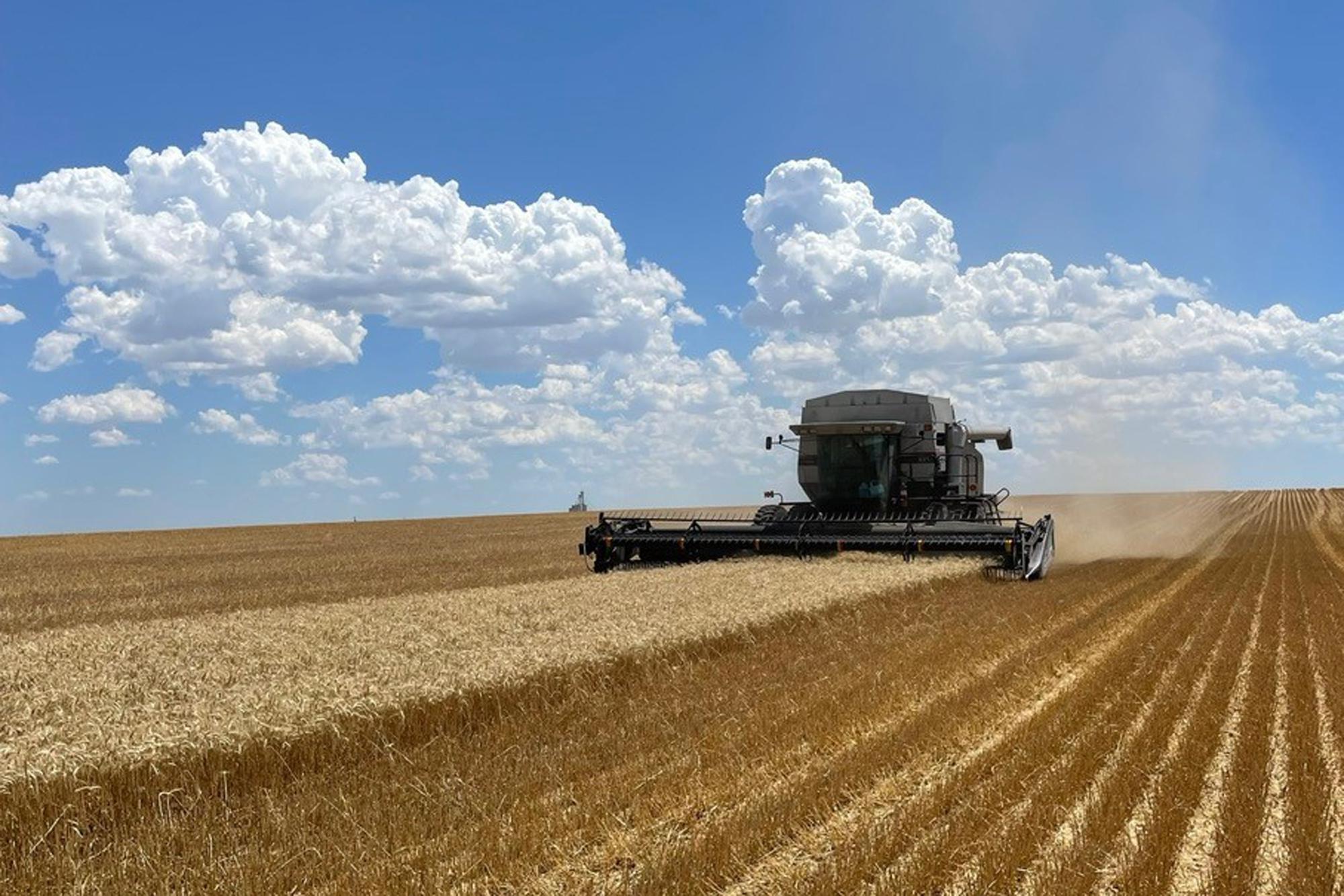 Technology empowers any farmer to trade grain globally