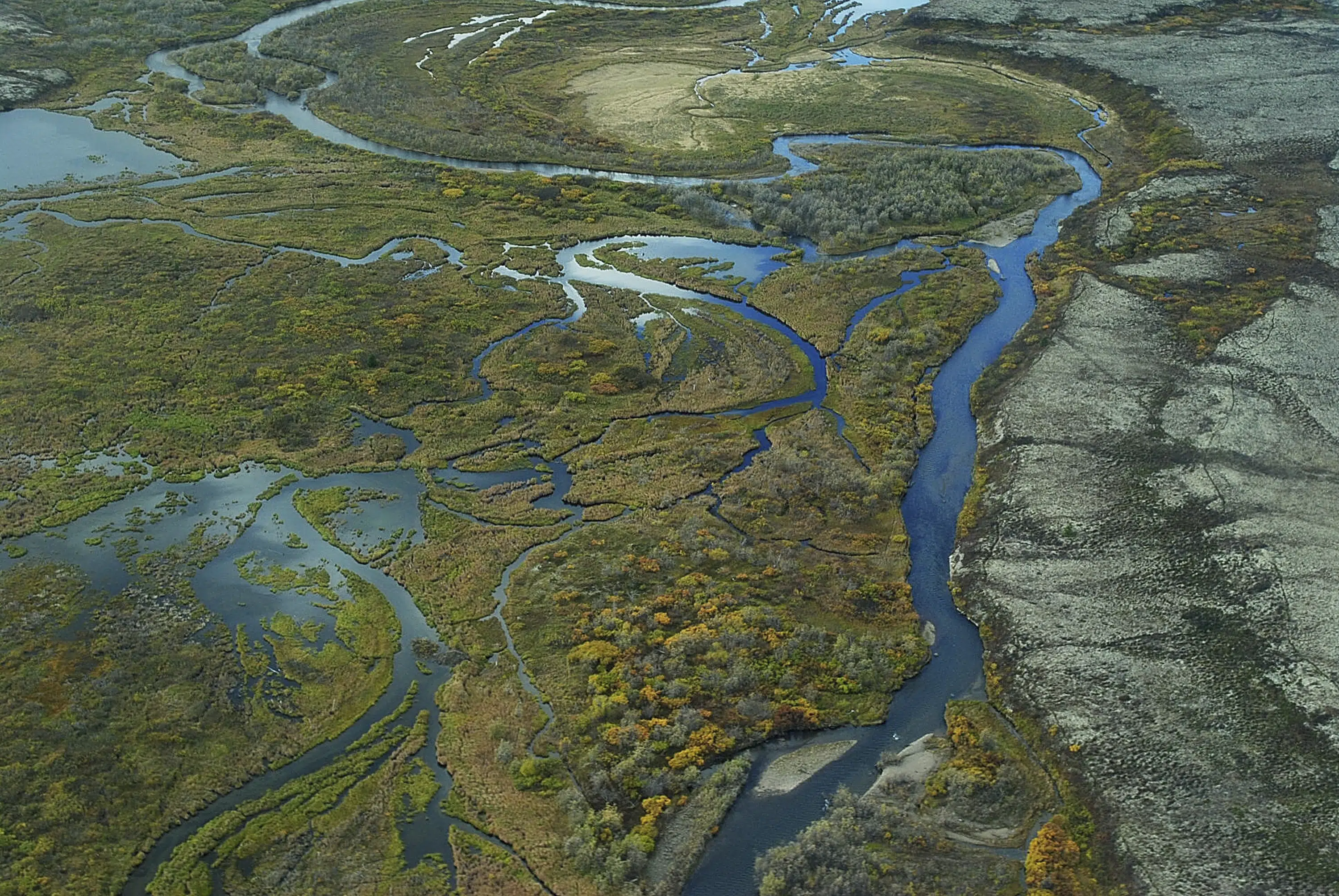 Une mine d’or et de cuivre en Alaska bloquée en raison de problèmes environnementaux Une mine d’or et de cuivre en Alaska bloquée en raison de problèmes environnementaux