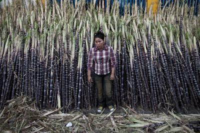 ARCHIVO - Una mujer vende caña de azúcar en el Mercado Oriental de Managua, Nicaragua, 7 de diciembre de 2012. El gobierno del presidente Joe Biden retiró a Nicaragua el 20 de julio de 2022 de la lista de países que pueden enviar azúcar a Estados Unidos con aranceles de importación bajos en un intento de presionar al gobierno del presidente autoritario Daniel Ortega. (AP Foto/Esteban Felix, file)