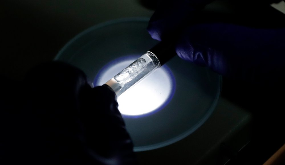 A Yolo! brand CBD vape oil cartridge is examined at Flora Research Laboratories in Grants Pass, Ore., on July 17, 2019. (AP Photo/Ted Warren)