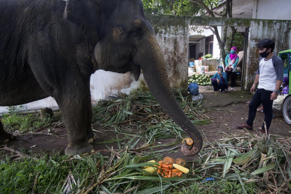 1000 Економічні новини
