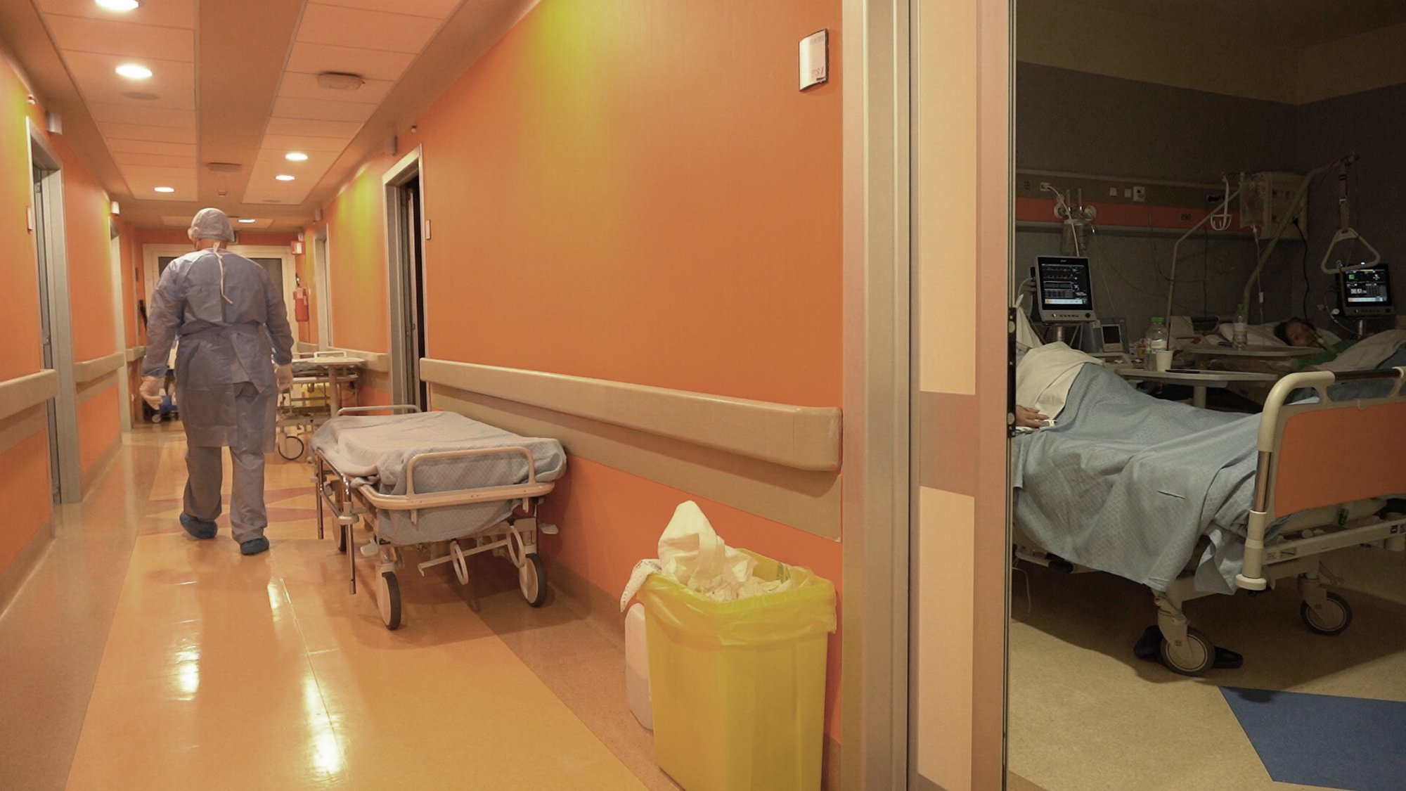 I'm an image I'm an image