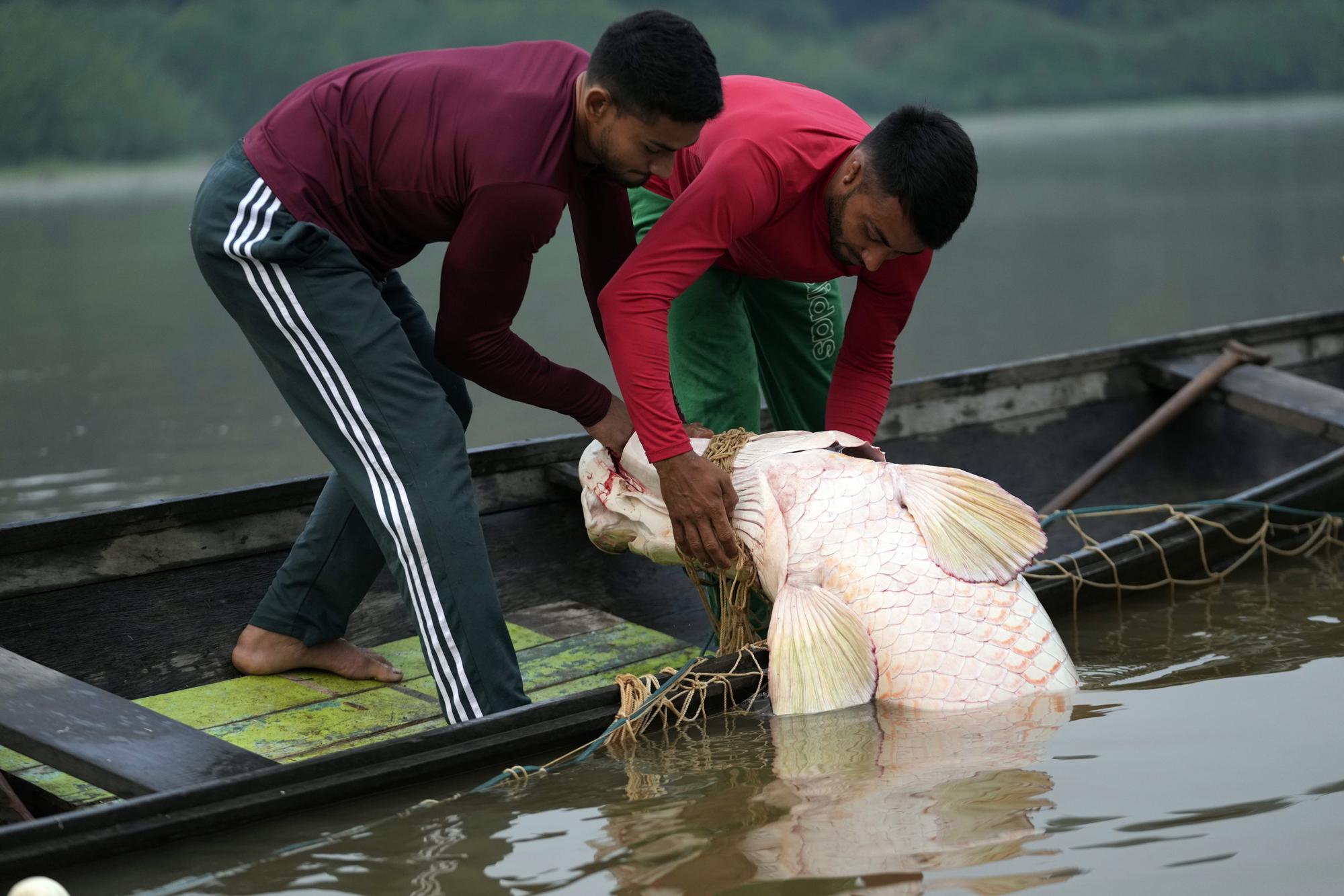 "Pescadores