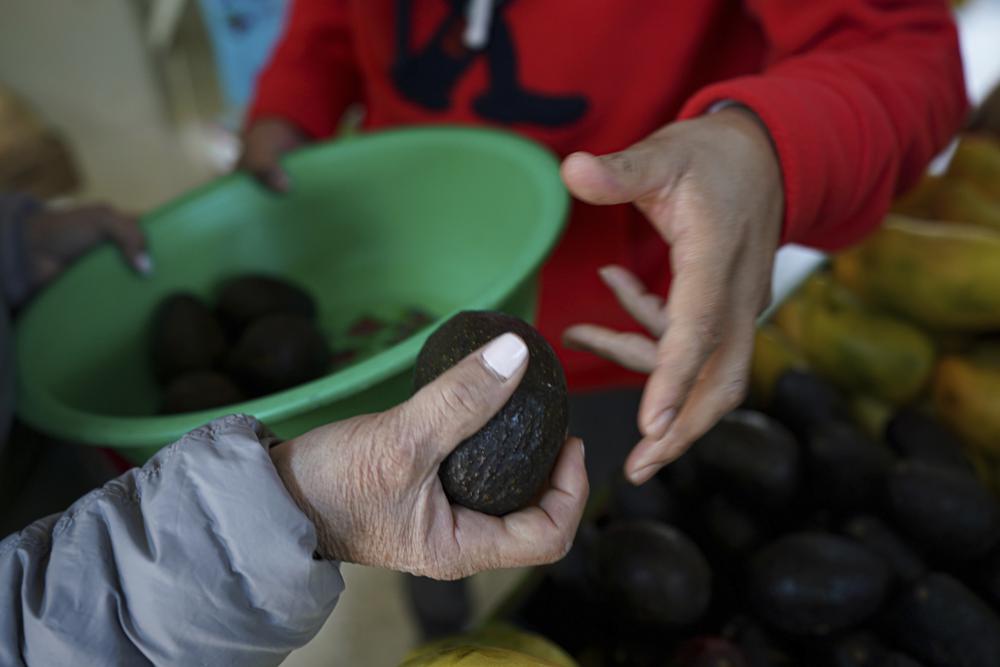 Una persona selecciona aguacates en un mercado el lunes 14 de febrero de 2022, en la Ciudad de México. (AP Foto/Fernando Llano)