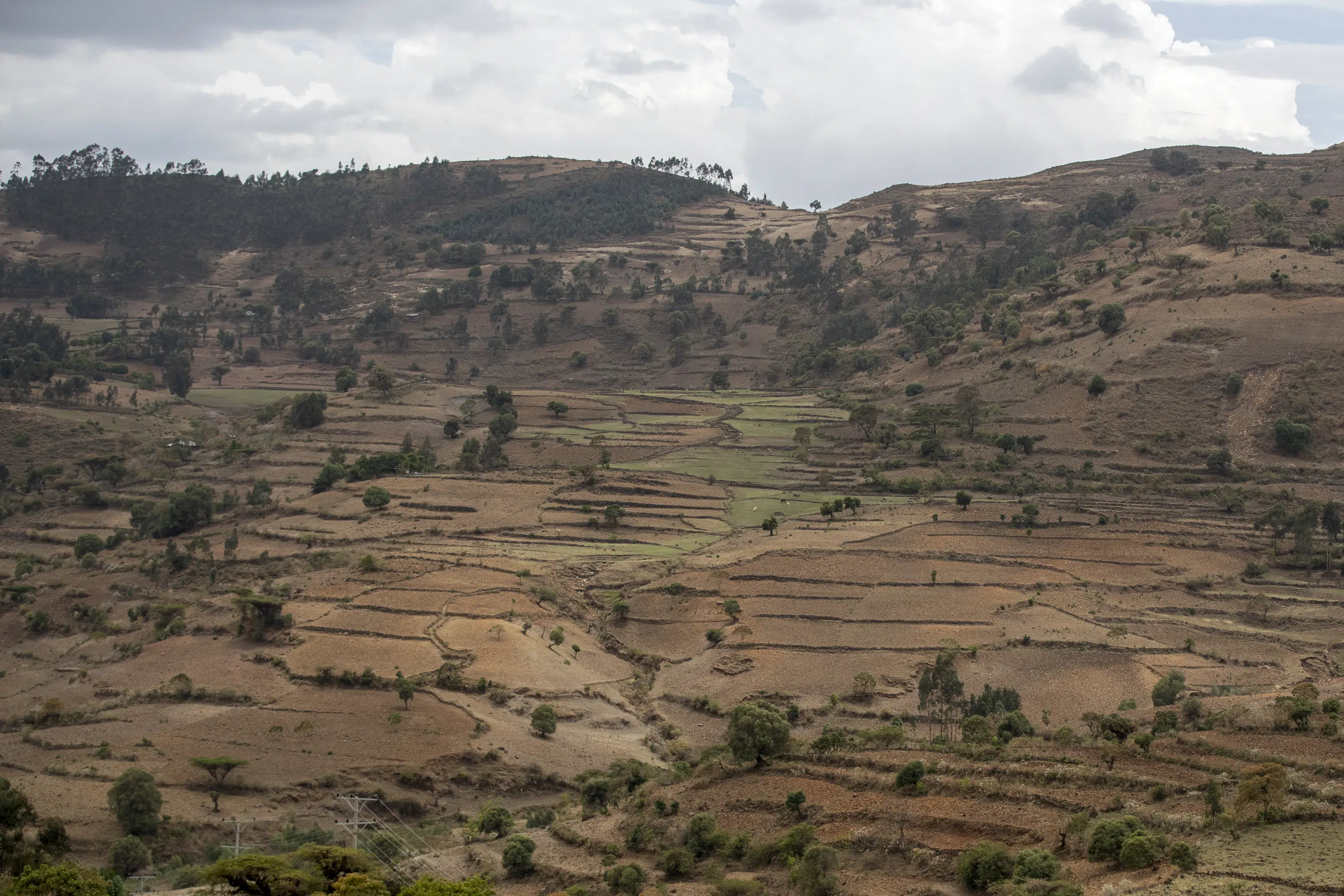 UN, others cite new displacement from Ethiopia’s Tigray