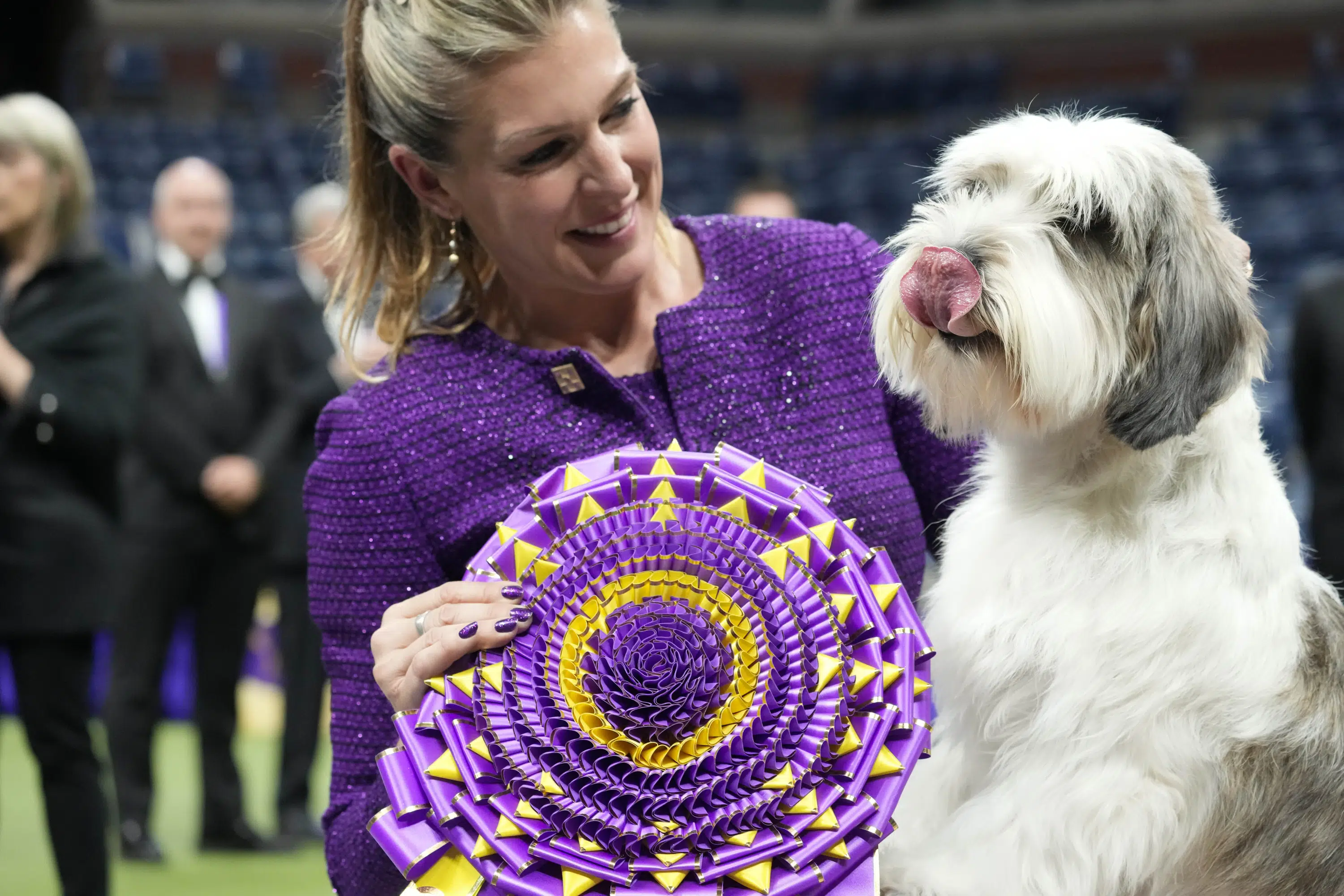 A 'PBGV' wins dog show in Westminster, the first of its kind