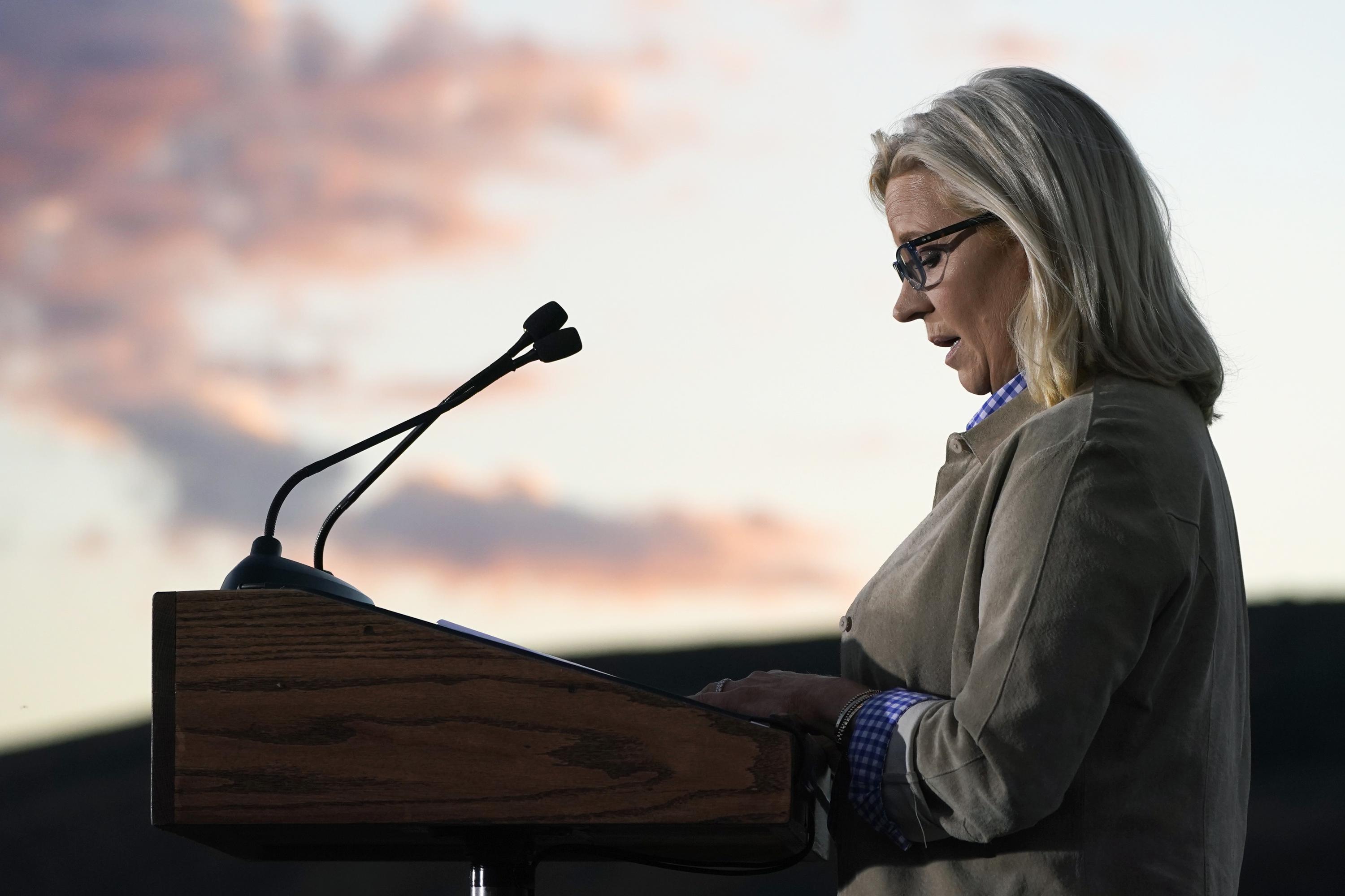 Liz Cheney in 2024? Deep skepticism emerges in key states