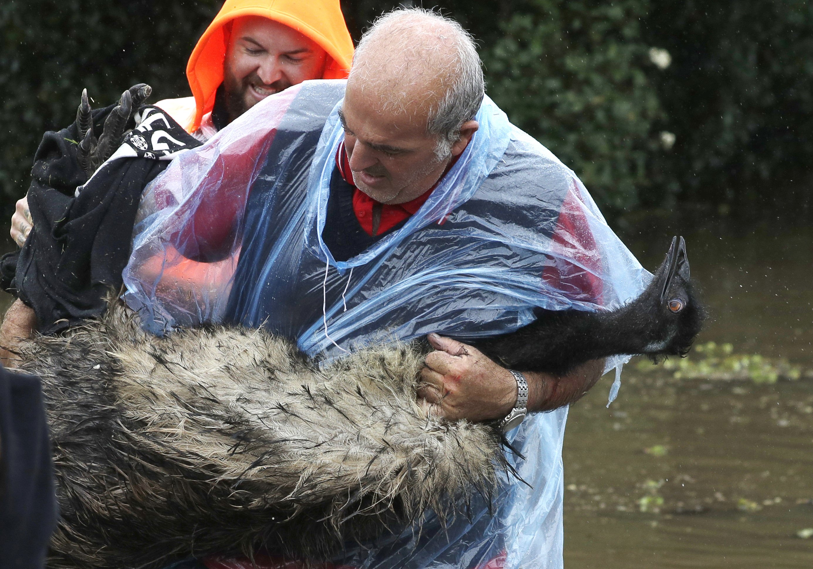 Australian east coast rain to ease, but flooding continues