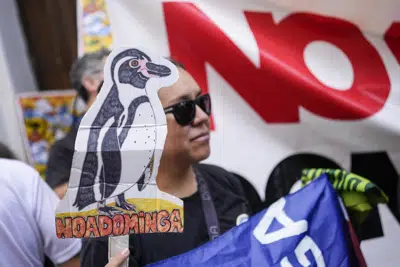 Una activista ambiental sostiene una imagen de un pingüino frente al Ministerio del Medio Ambiente para mostrar su apoyo a la decisión de un comité de ministros de rechazar el proyecto minero Dominga en Santiago, Chile, el miércoles 18 de enero de 2019. (AP Foto/Matías Delacroix)