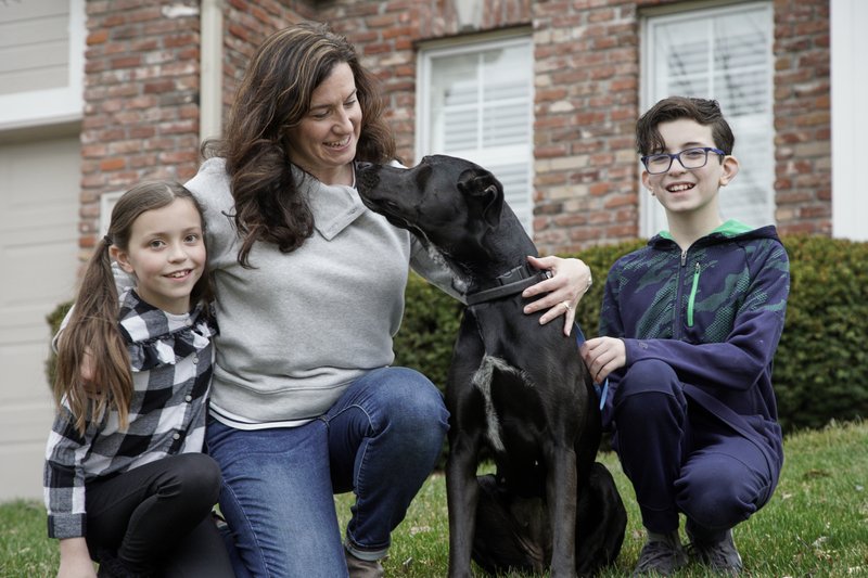 Pet Fostering Takes Off As Coronavirus Keeps Americans Home