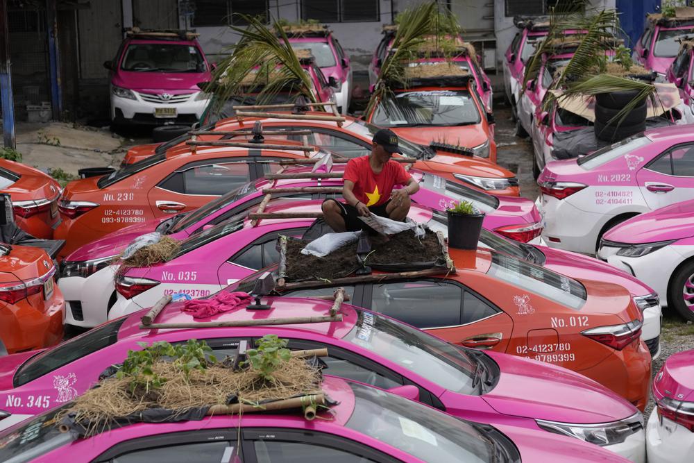 Tak Beroprasi Selama Pandemi, Sopir Taksi Thailand Tanam Sayur di Atap Mobil