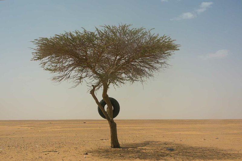 A tire used as a road marker hangs from a tree in Niger's Tenere desert region of the south central Sahara on Sunday, June 3, 2018. On the map, it links Algeria’s Mediterranean coast to the distant Atlantic shore in Nigeria. Along the way, however, the Trans-Sahara highway frequently deteriorates from black tar into sand tracks. (AP Photo/Jerome Delay)