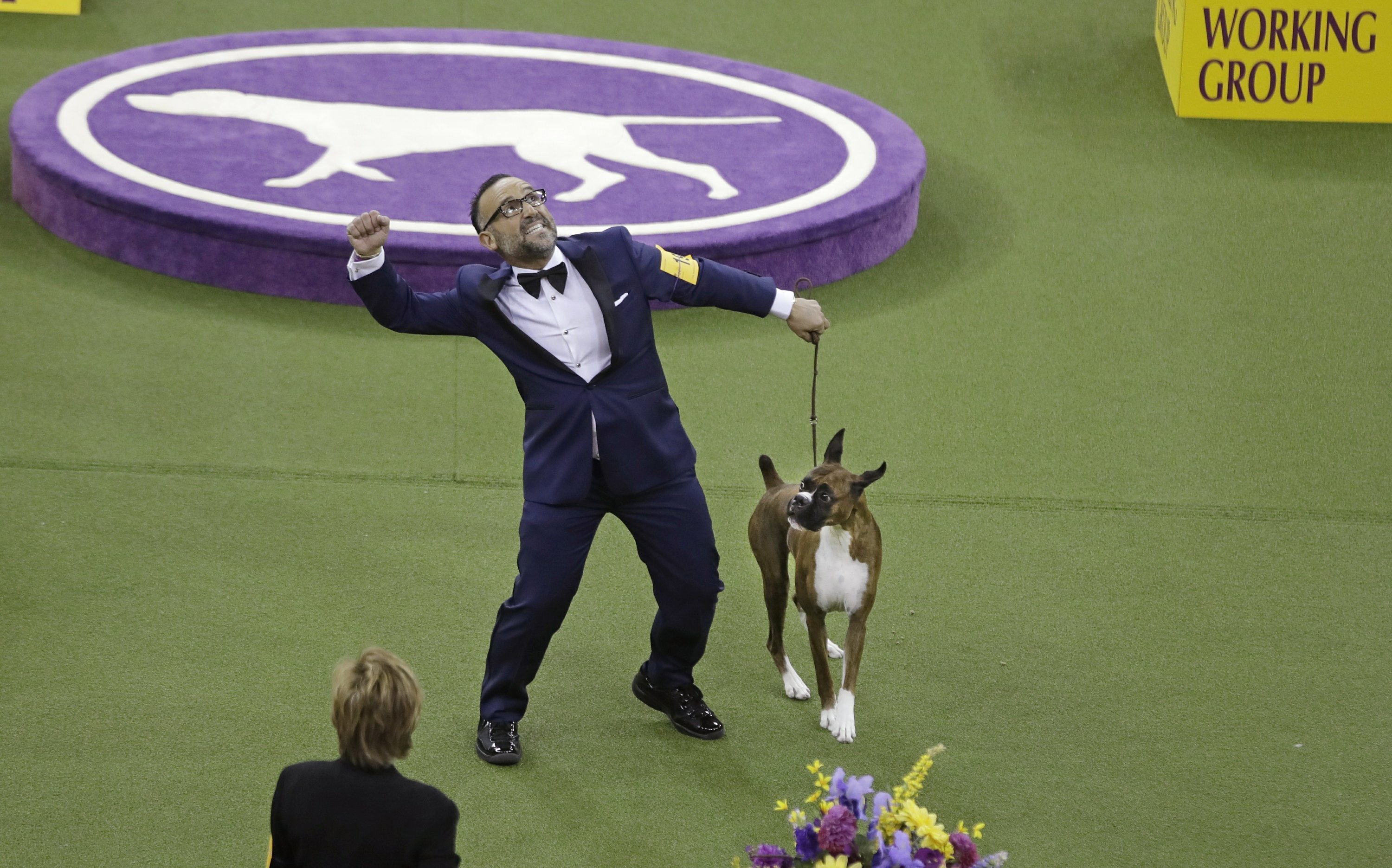 PHOTOS A look back at past Westminster Dog Shows AP News