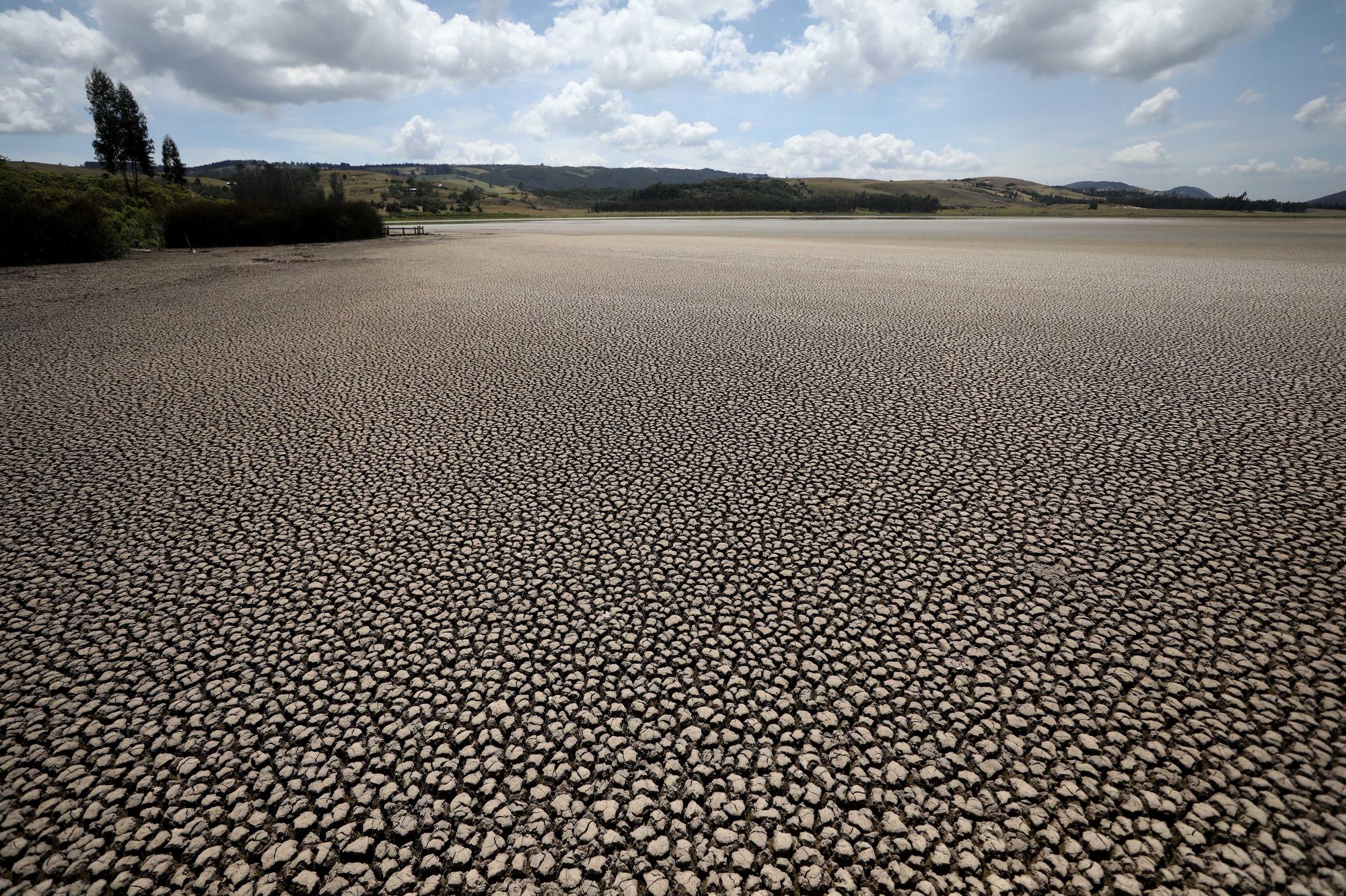 Cracked mud stretches out across a vast area once covered by the waters of the Suesca lagoon, in Suesca, Colombia, on Feb. 17, 2021. The lake, once teeming with fish, is drying up due to the effects of climate change. (AP Photo/Fernando Vergara)