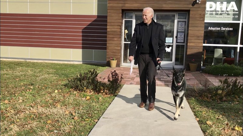 Majorly manipulated photo of Joe Biden's dog circulating online