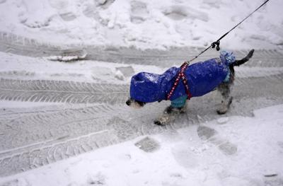 Una mujer pasea a su perro durante una tormenta invernal el domingo 12 de diciembre de 2021 en Belgrado, Serbia. (AP Foto/Darko Vojinovic)