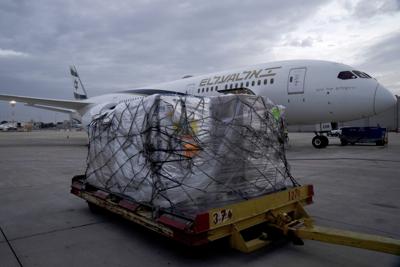 Un cargamento del medicamento contra el COVID-19 desarrollado por Pfizer, Paxlovid, en el Aeropuerto Internacional Ben Gurion, en Tel Aviv, Israel, el jueves 30 de diciembre de 2021. (AP Foto/Maya Alleruzzo)