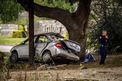 ARCHIVO - Un agente investigador de accidentes de California investiga la escena de un choque fatal en el valle de Temescal, al sur de Corona, California, 20 de enero de 2020. Un jurado el 28 de abril de 2023 halló culpable de homicidio a un hombre que mató a tres adolescentes que le habían tocado el timbre de la casa para hacerle una broma. (Watchara Phomicinda/The Orange County Register via AP, File)