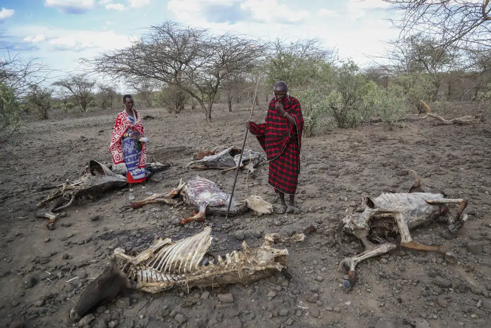Report: Drought in Horn of Africa Worse Than 2011 Famine post image