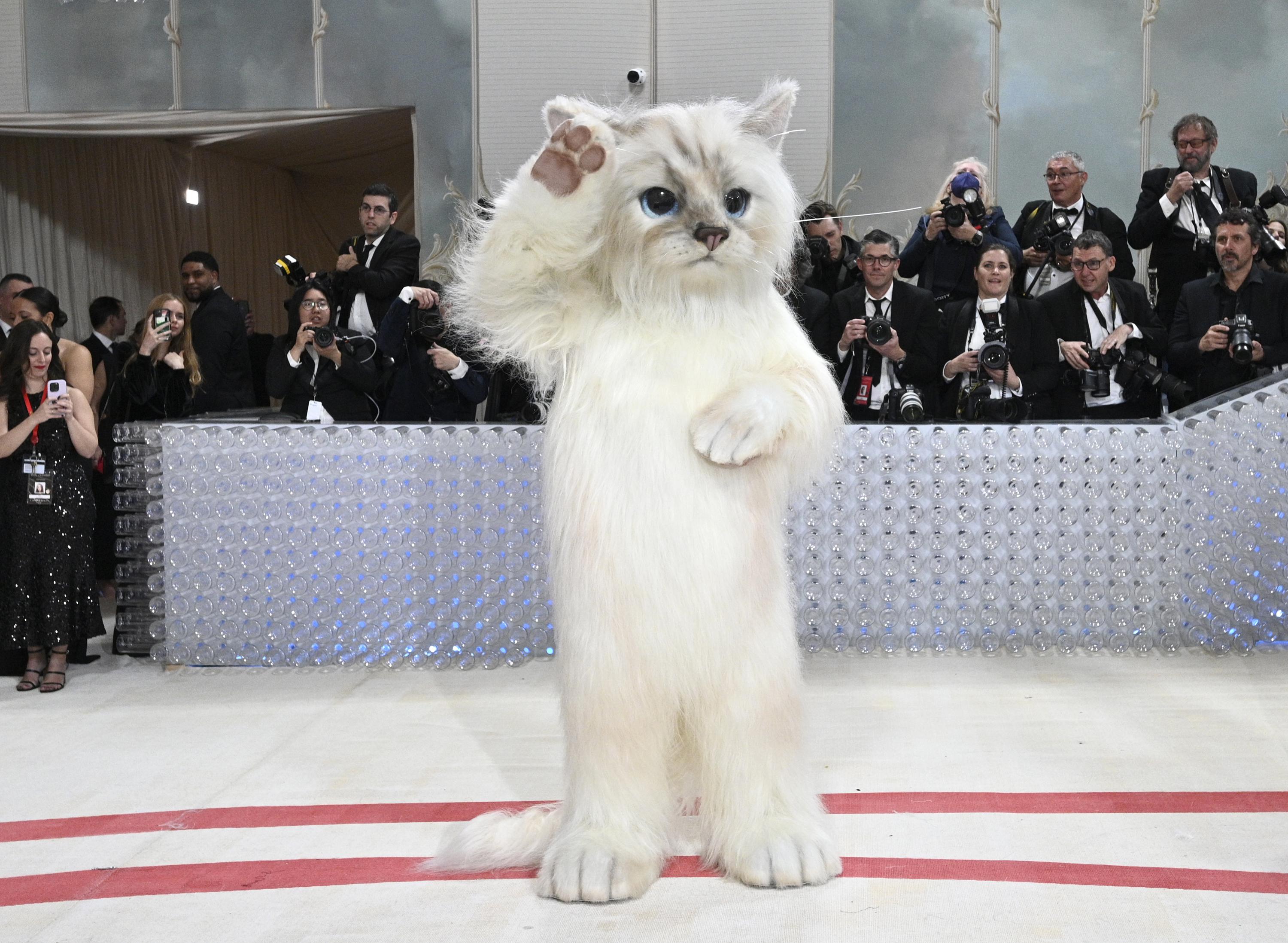 In het Met Gala: The Furry Star, the Late Assepoester