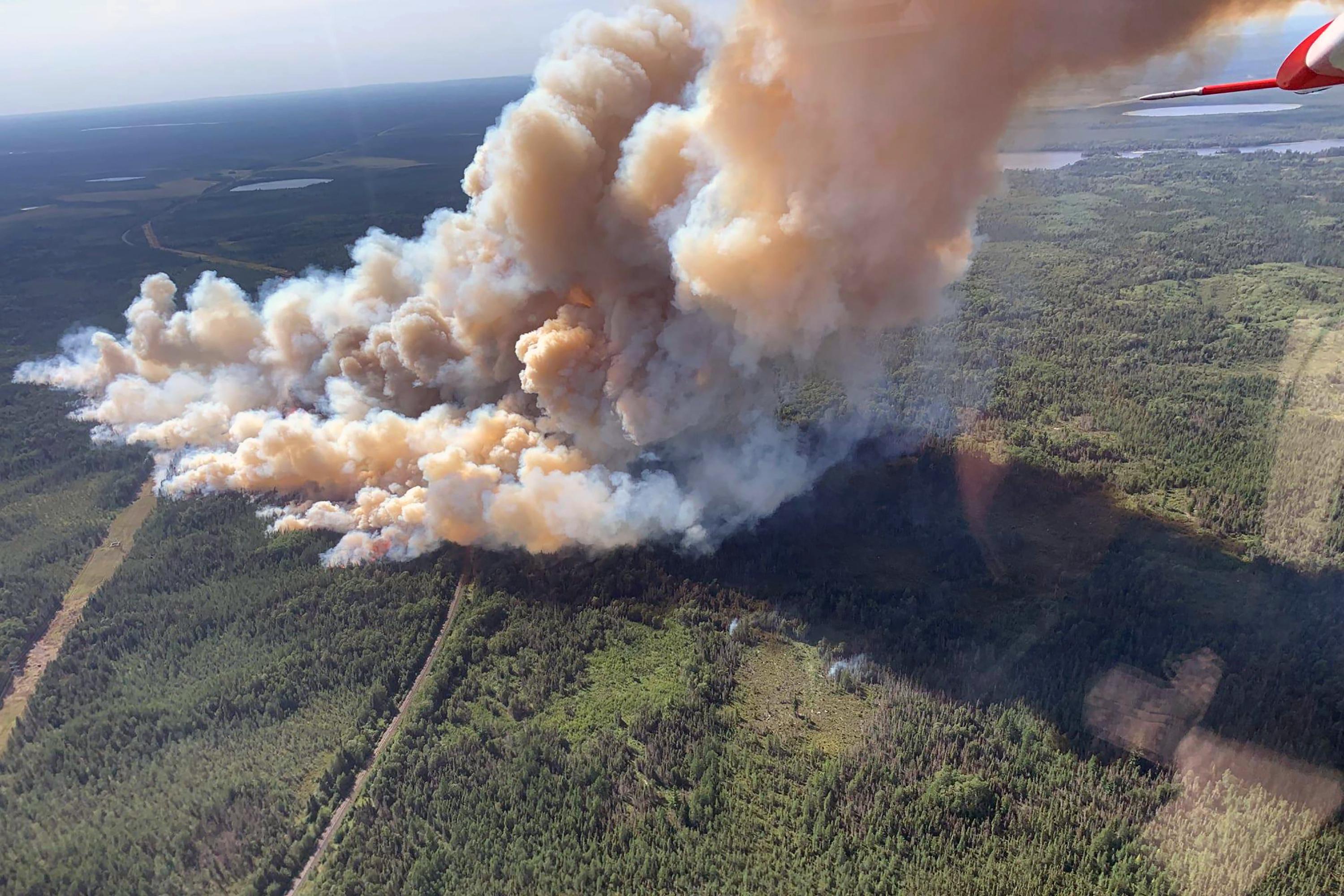 Wildfire in northeastern Minnesota grows to 1,500 acres AP News