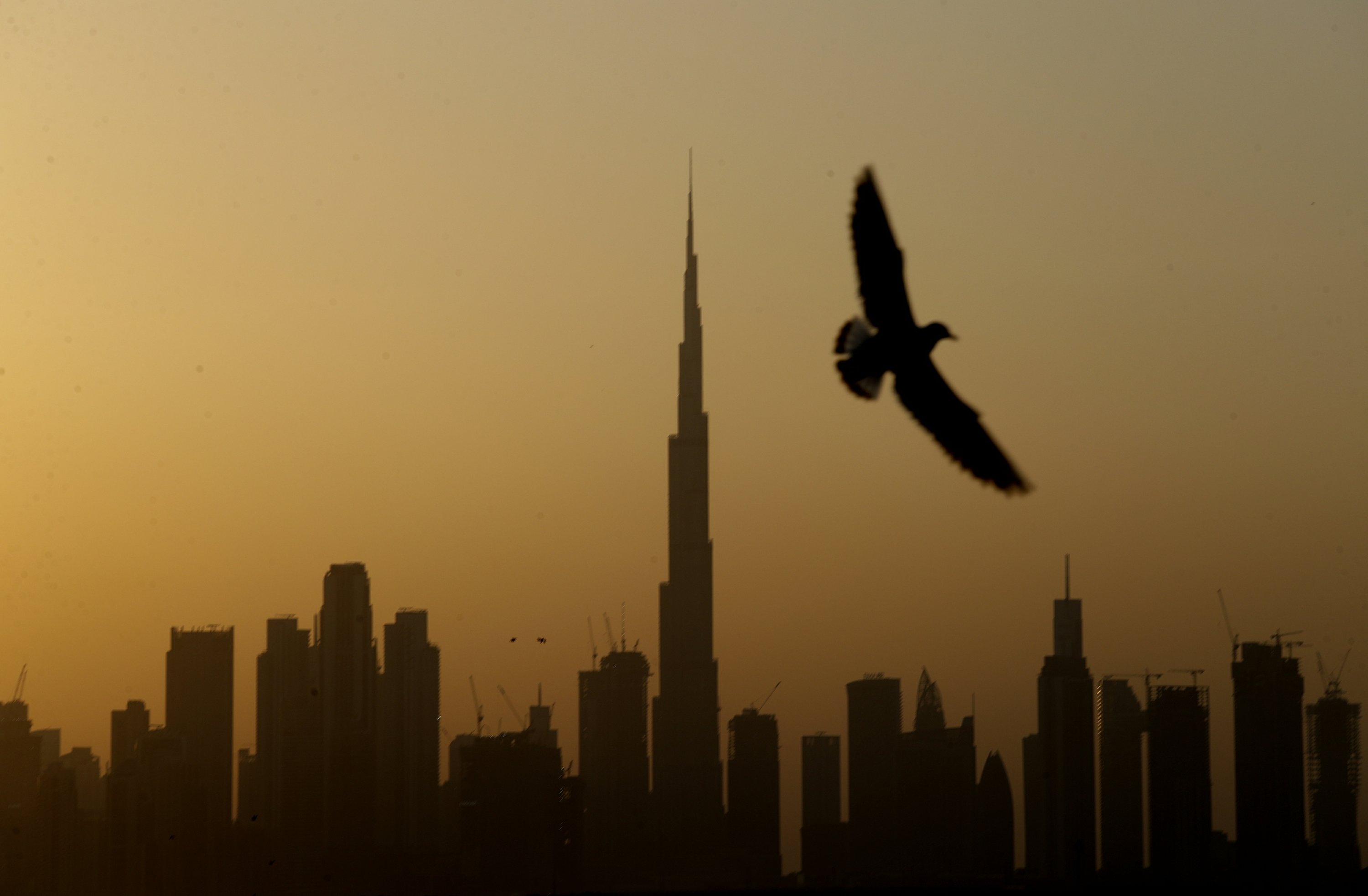 United Arab Emirates says it will offer citizenship to some