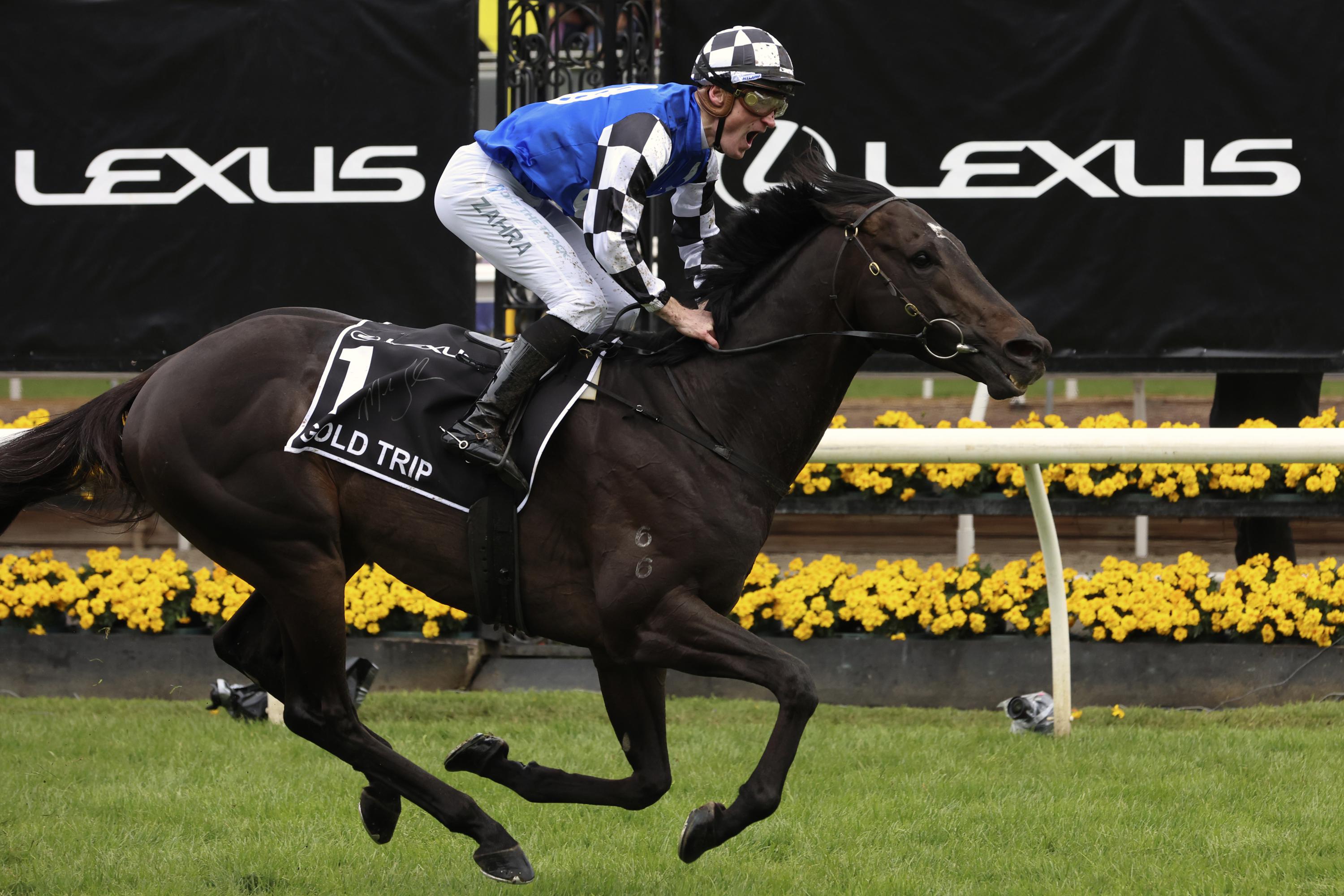 Gold Trip wins 162nd running of the Melbourne Cup AP News